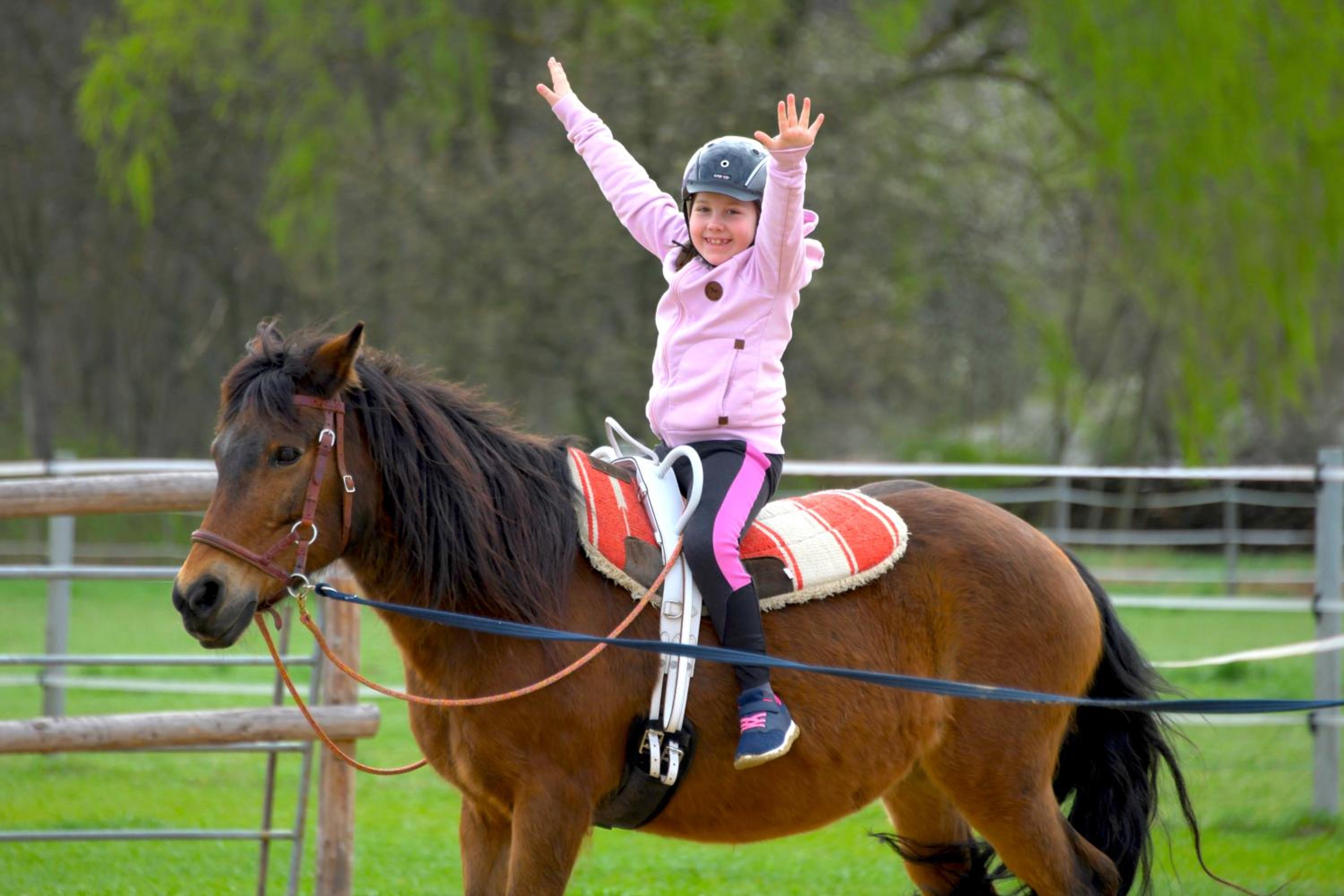 Family Ranch Urlaub am Pferdehof