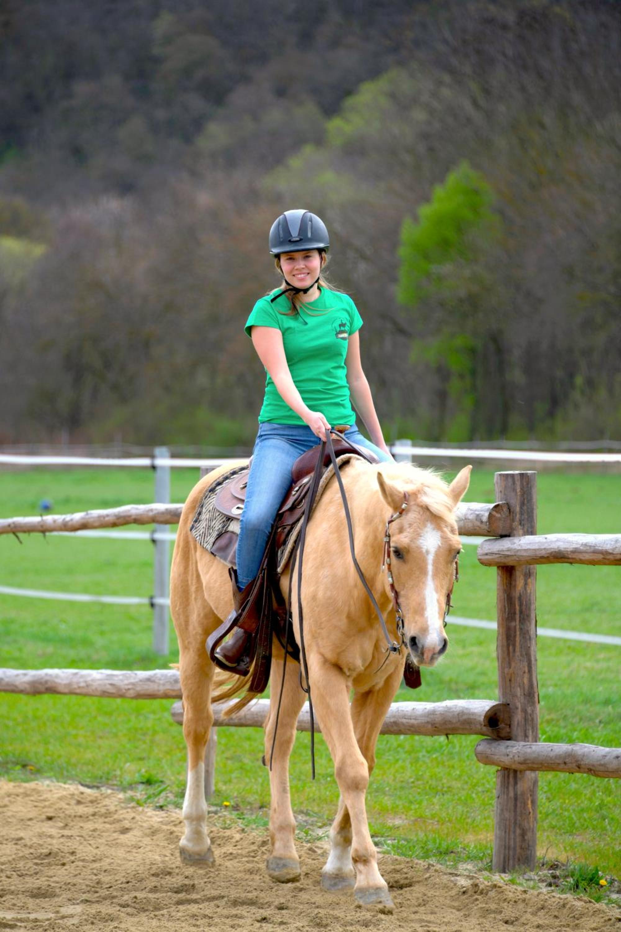 Family Ranch Urlaub am Pferdehof