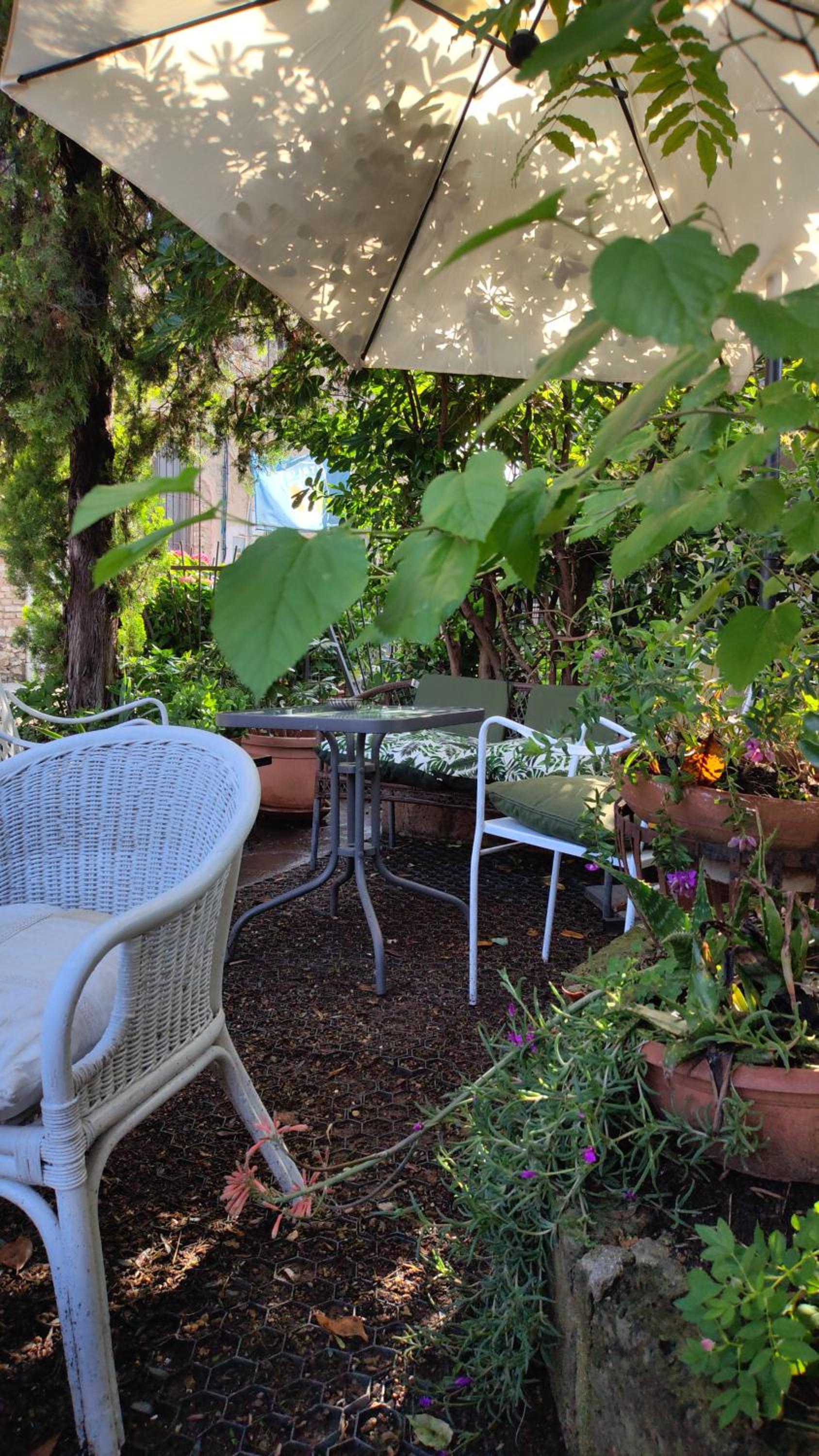B&B LaMaGia di Corte Moronati view 5