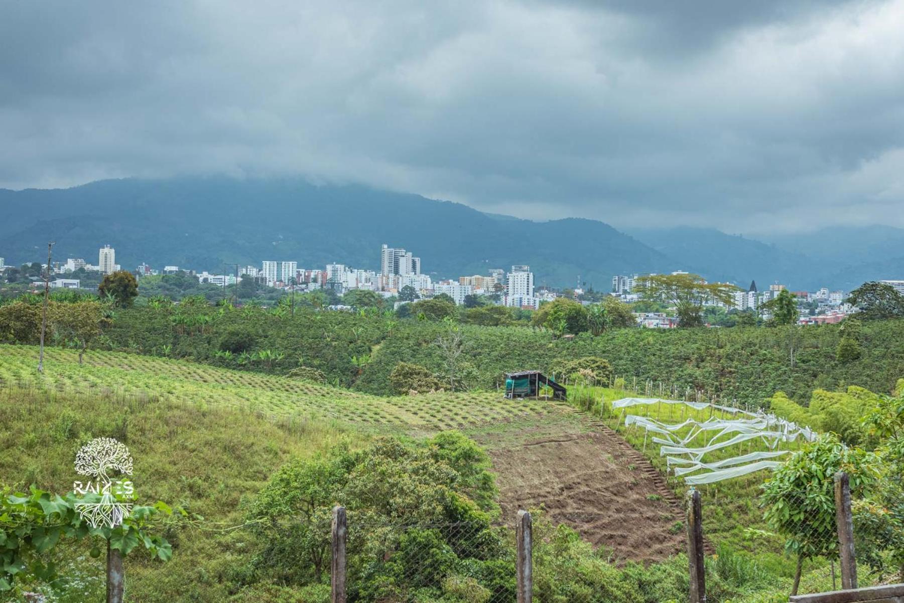 Raizes AXM I Casa Campestre I Armenia, Quindío, Colombia