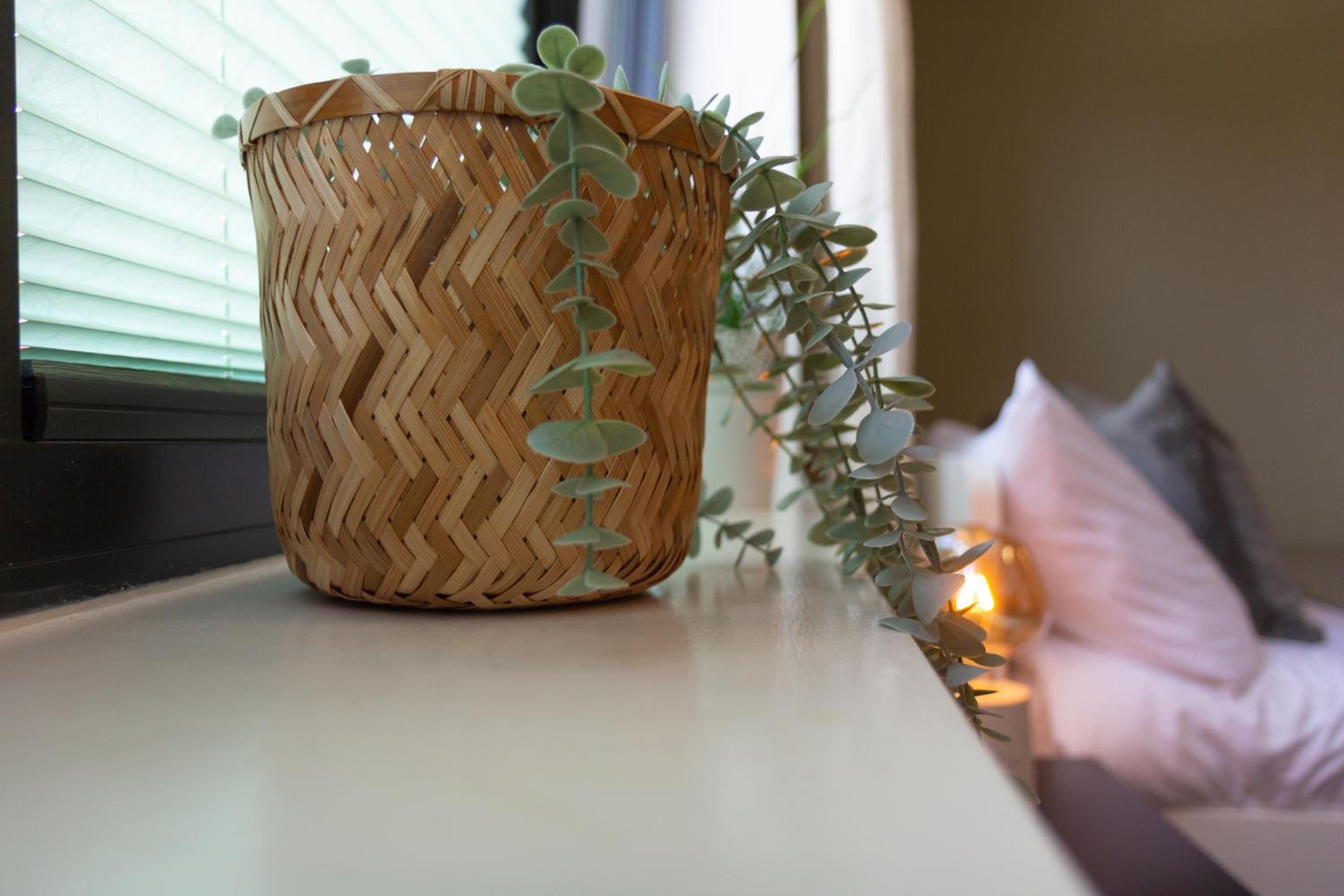 Stylish Retreat