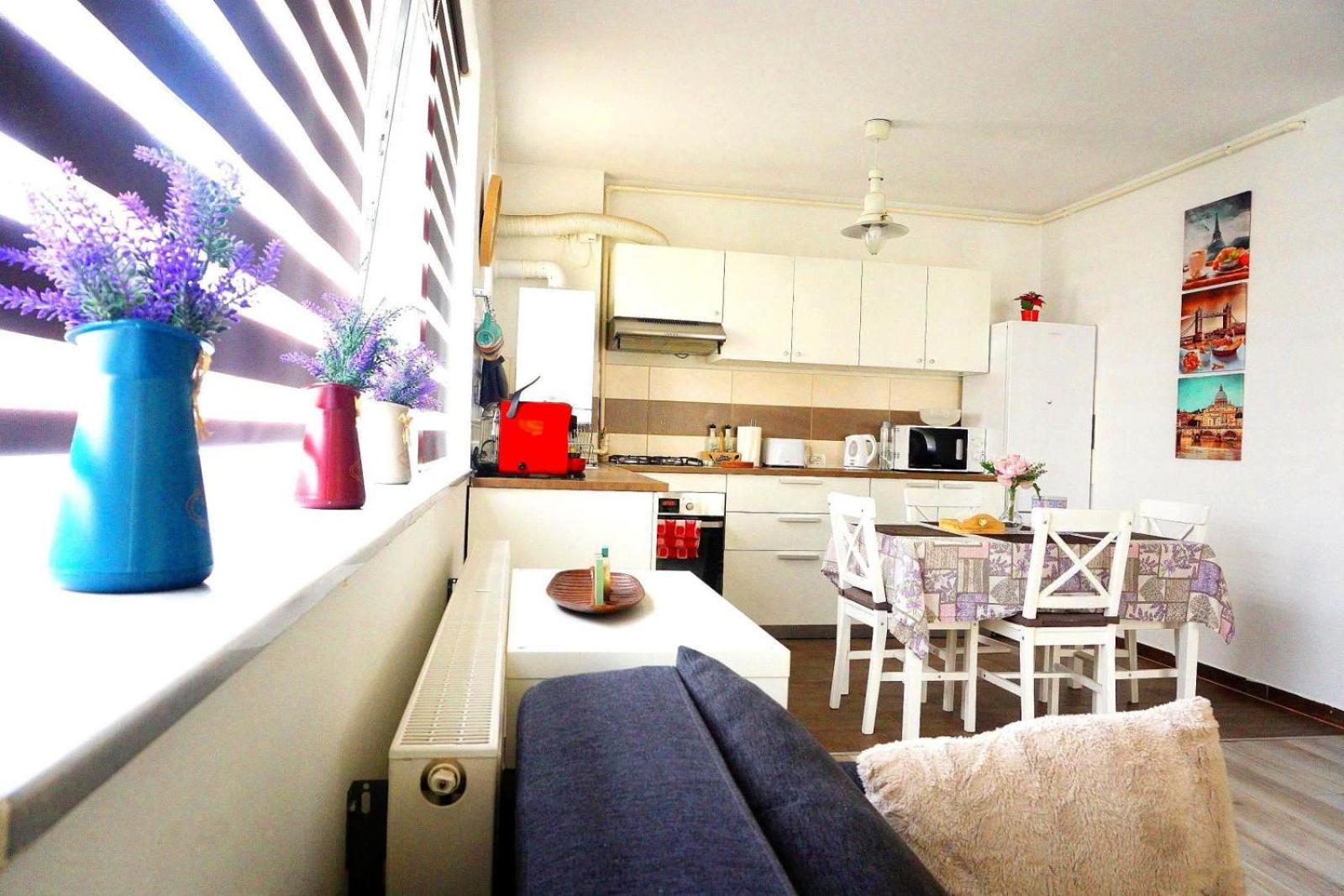 Relaxing Coresi Mall studio free parking