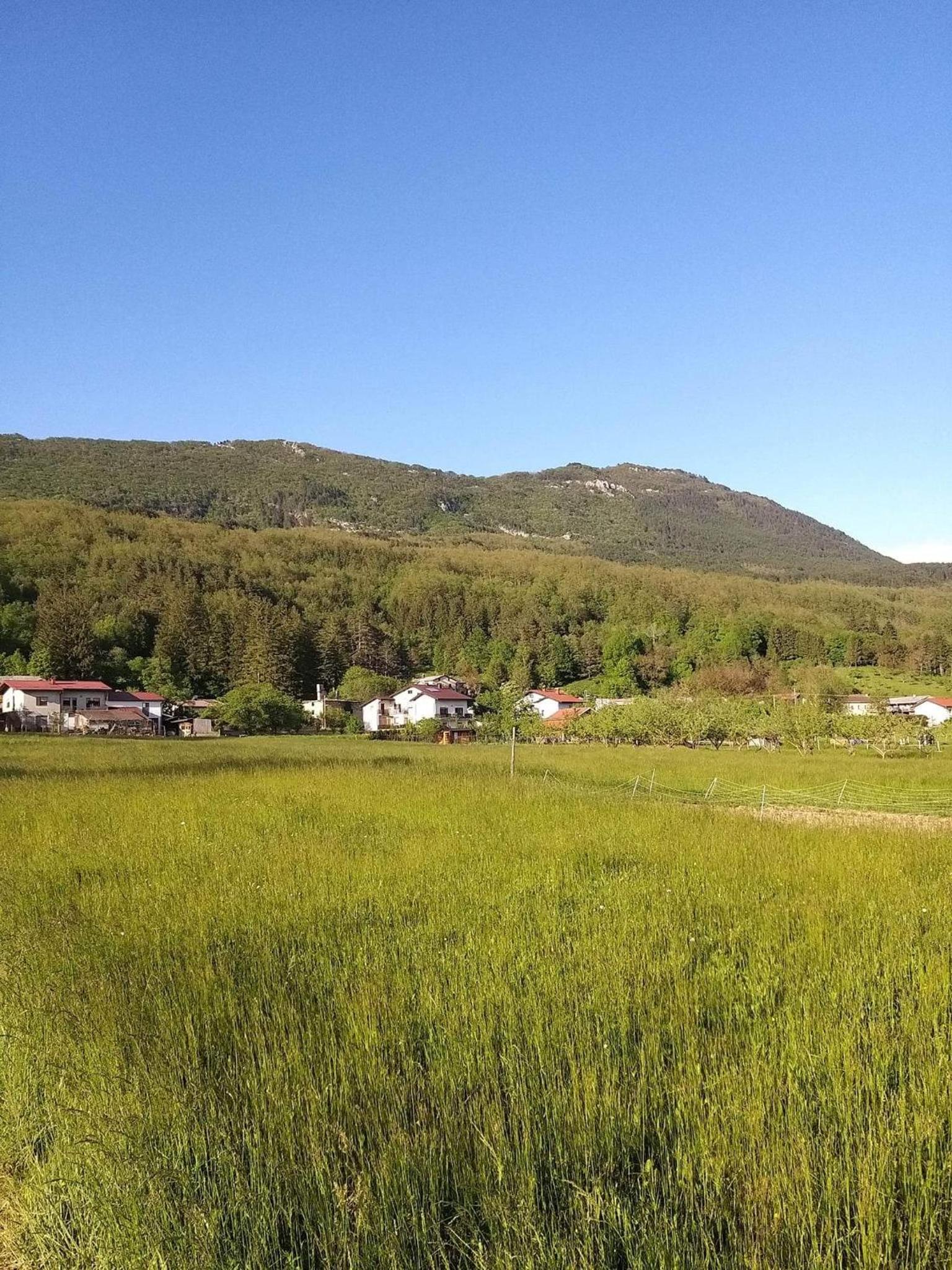 Photo 29