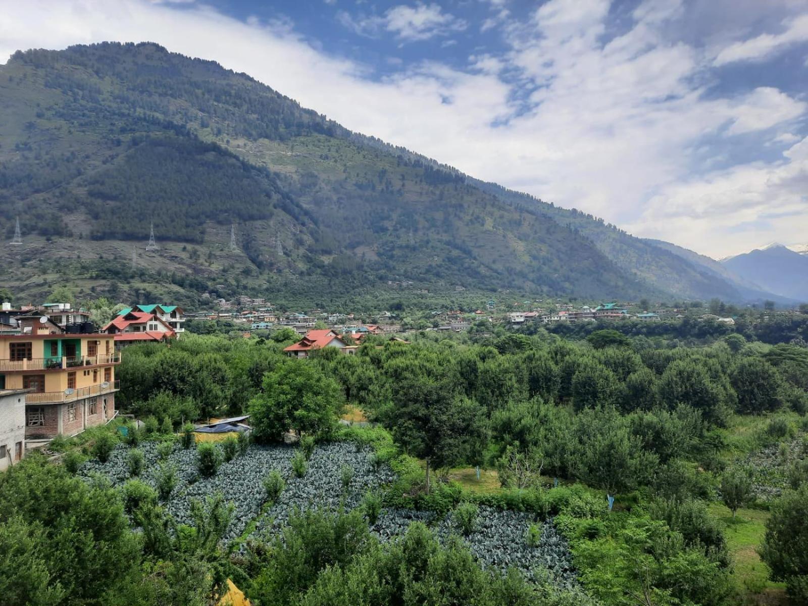 Nature's Paradise Dobhi @ Manali view 5