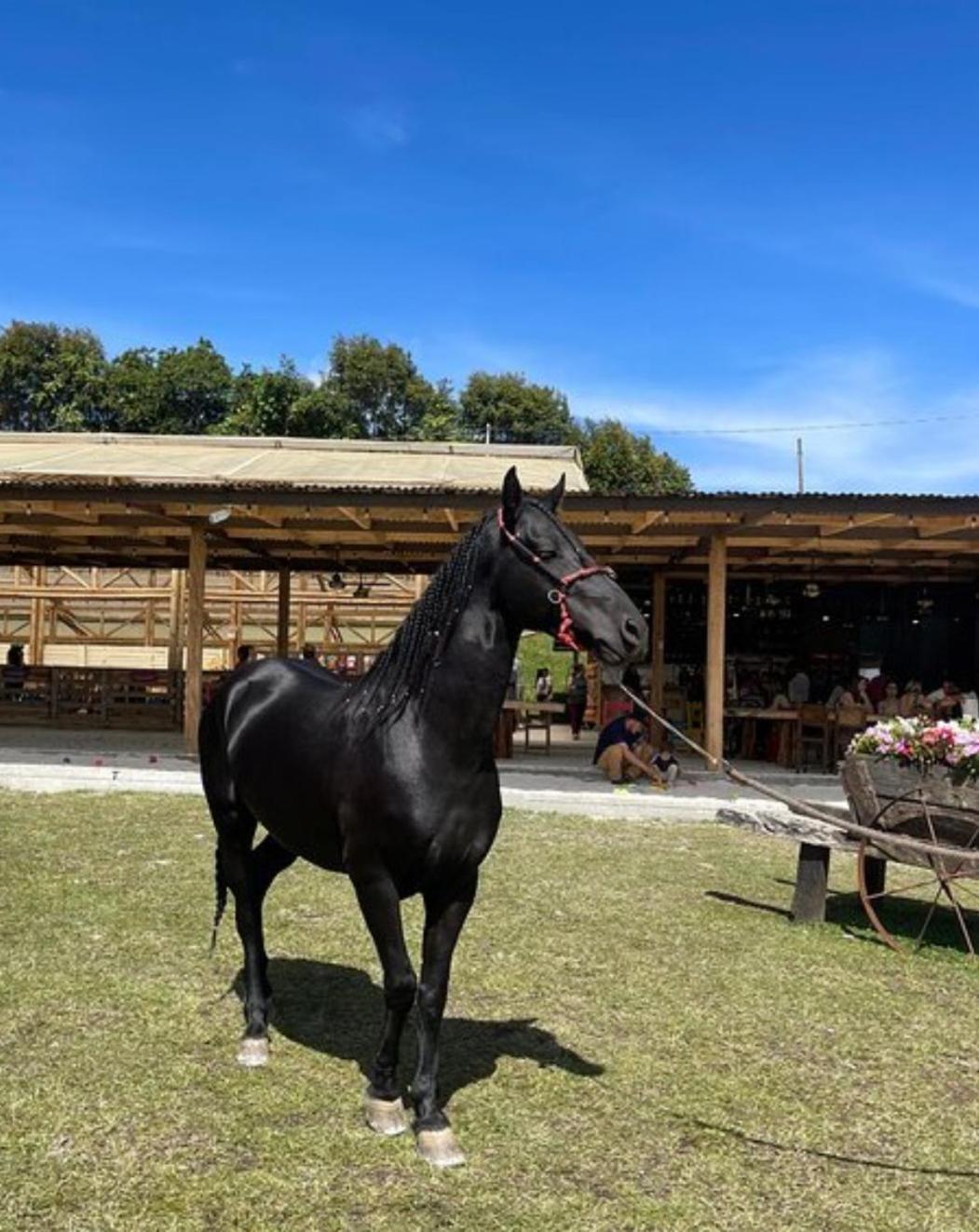 Finca Aire Puro
