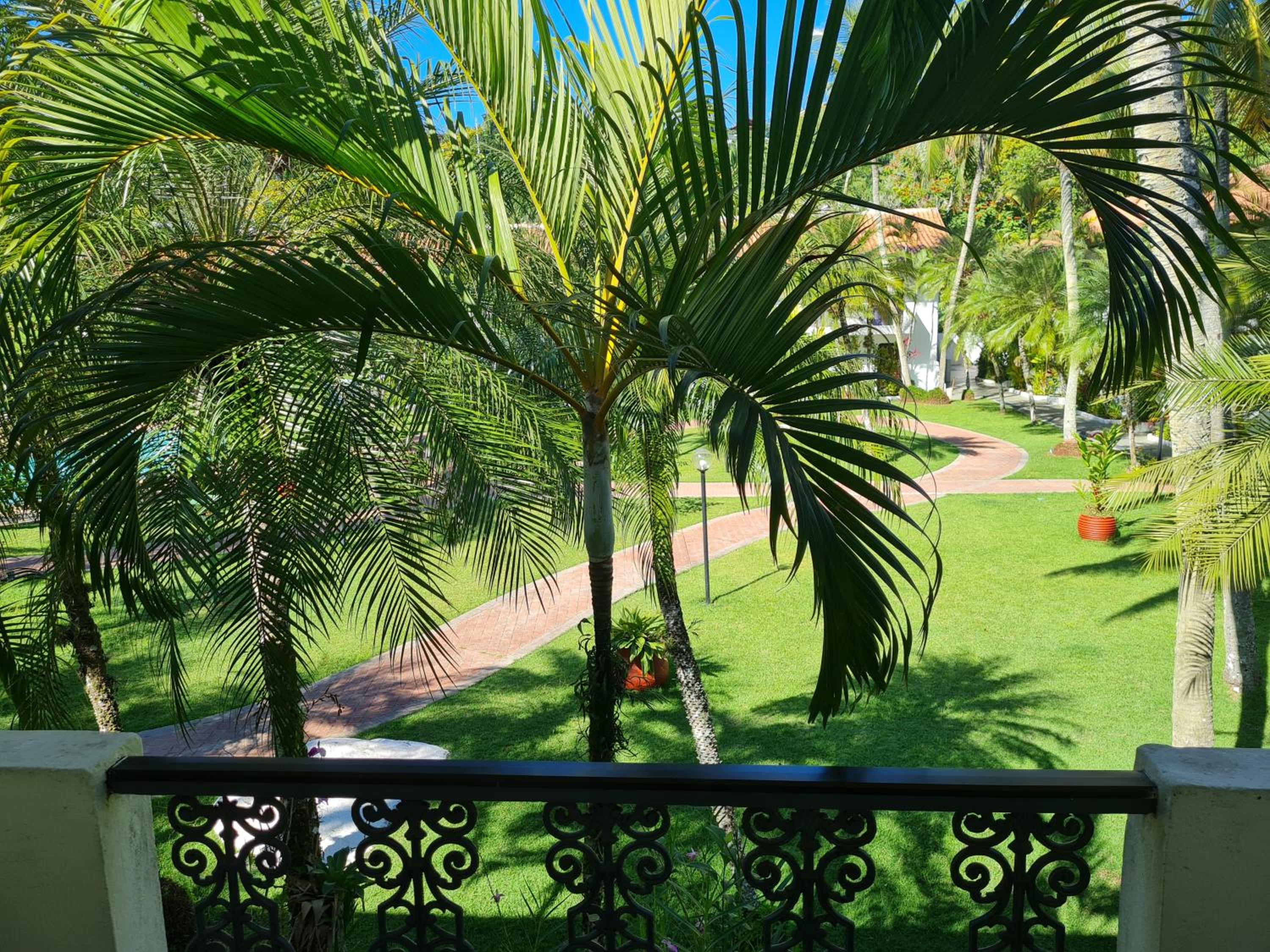 Apartamento - Cond. Winbledon - Praia Toninhas