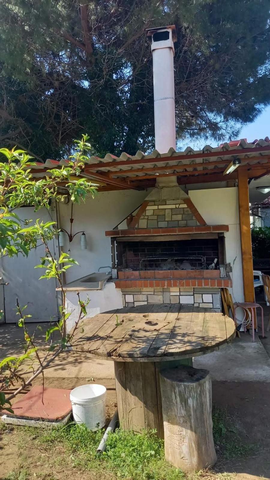 Ivonnis Garden