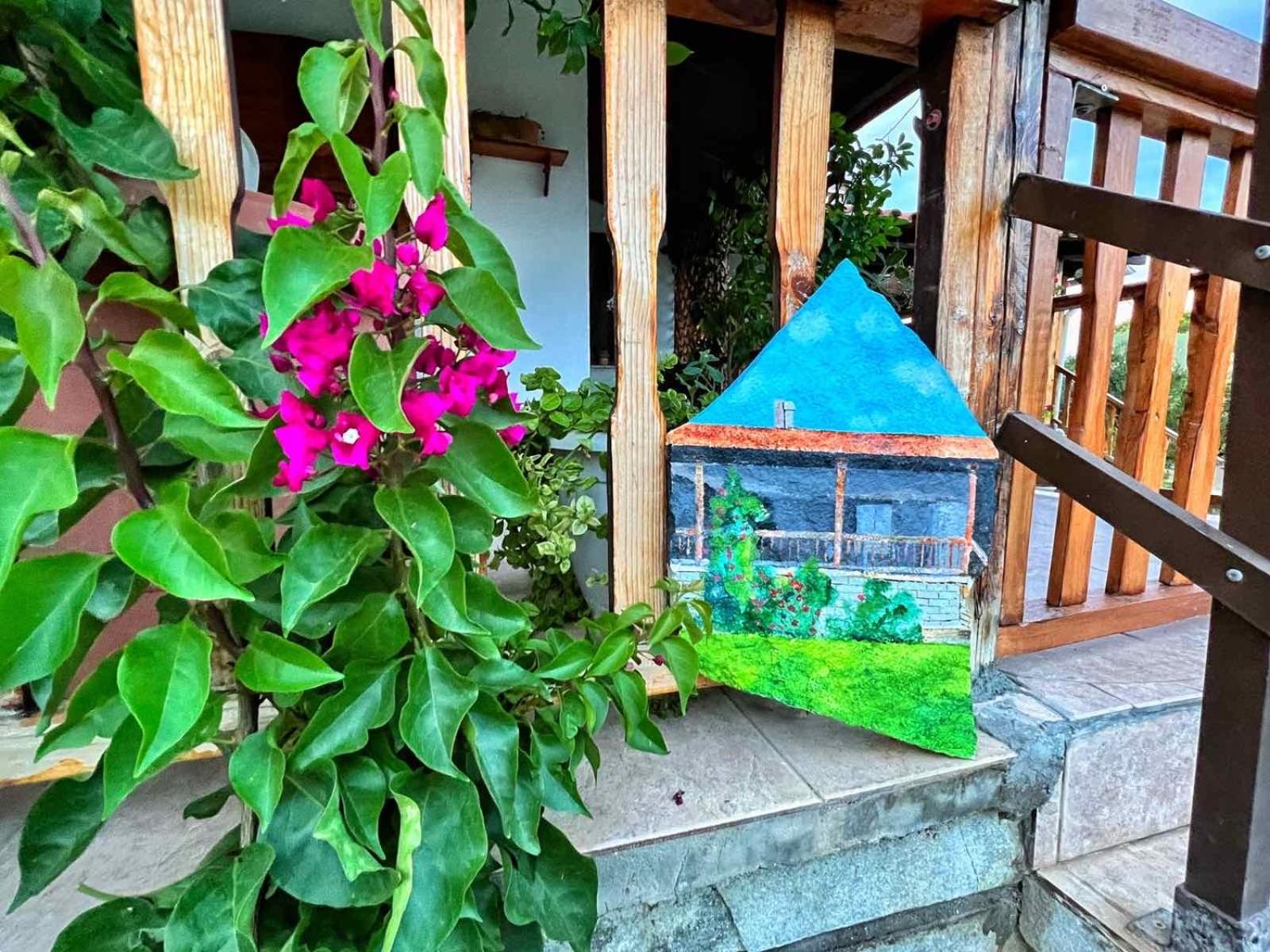 Ivonnis Garden