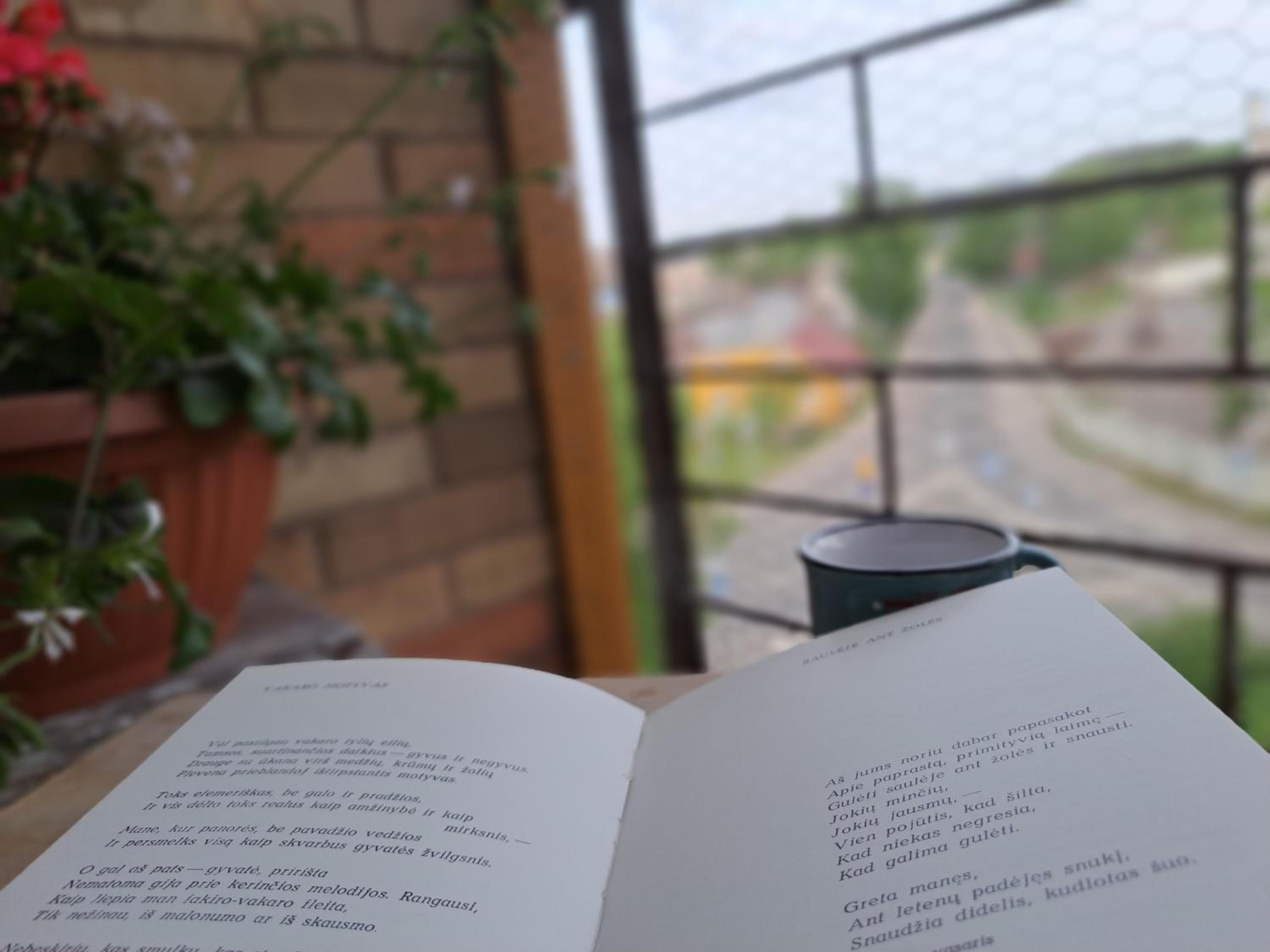 Butas Anykščiuose šeimoms view 4