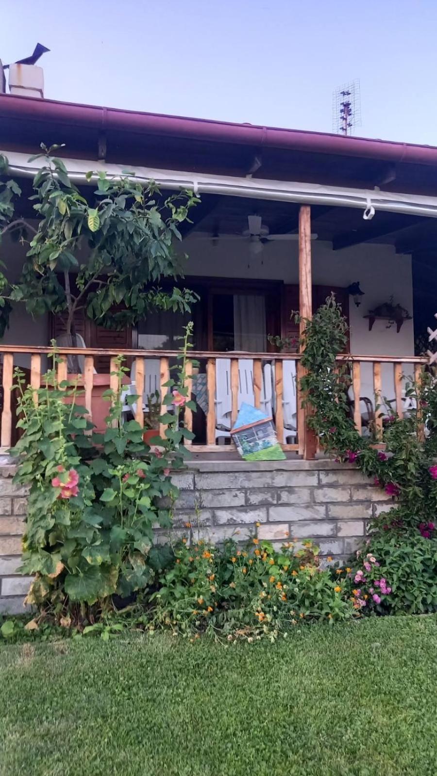 Ivonnis Garden