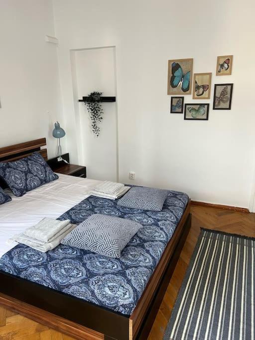 Apartament Ultracentral Universitate view 5