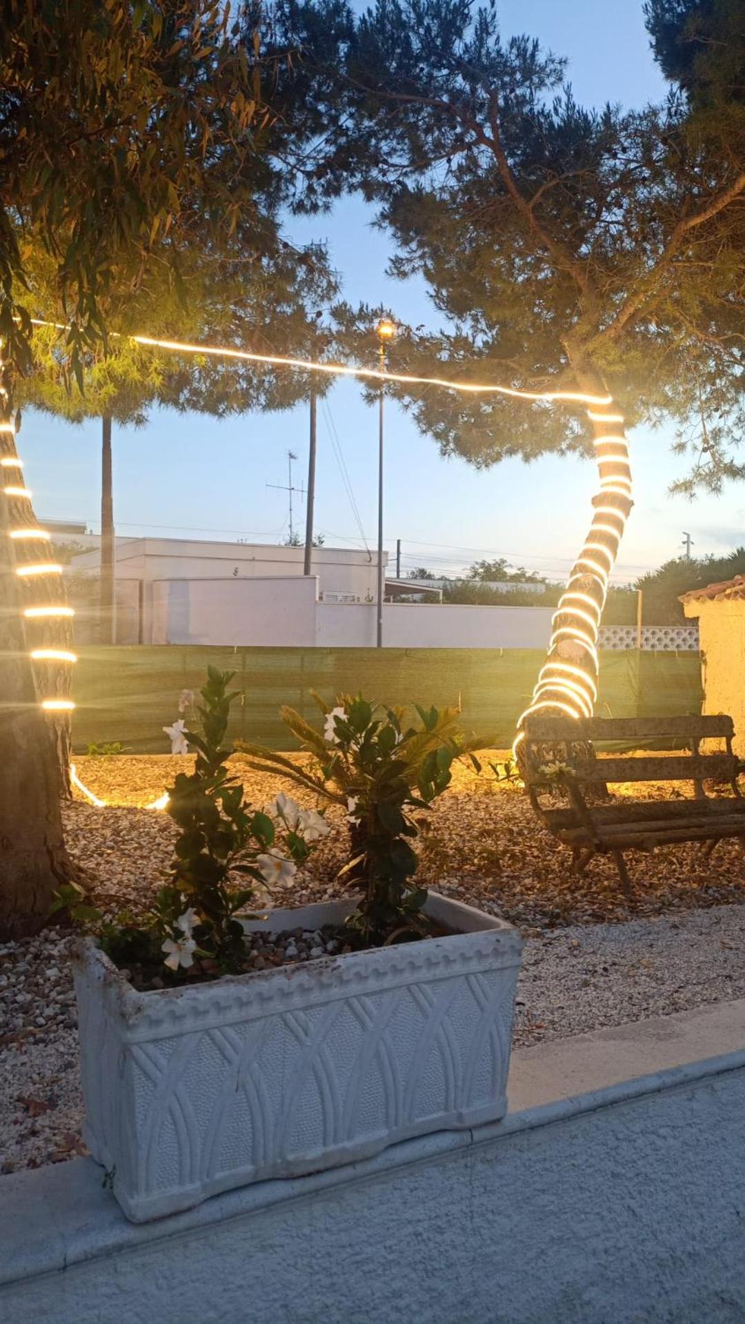 i girasoli srls photo 5