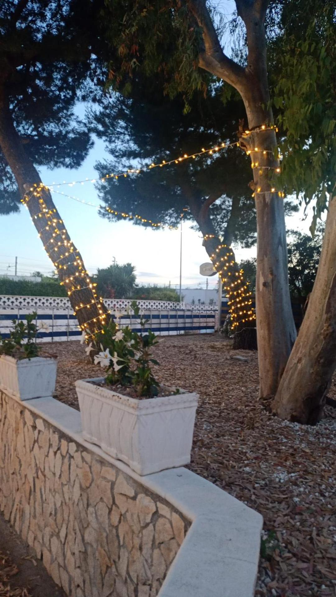 i girasoli srls en Bari — other