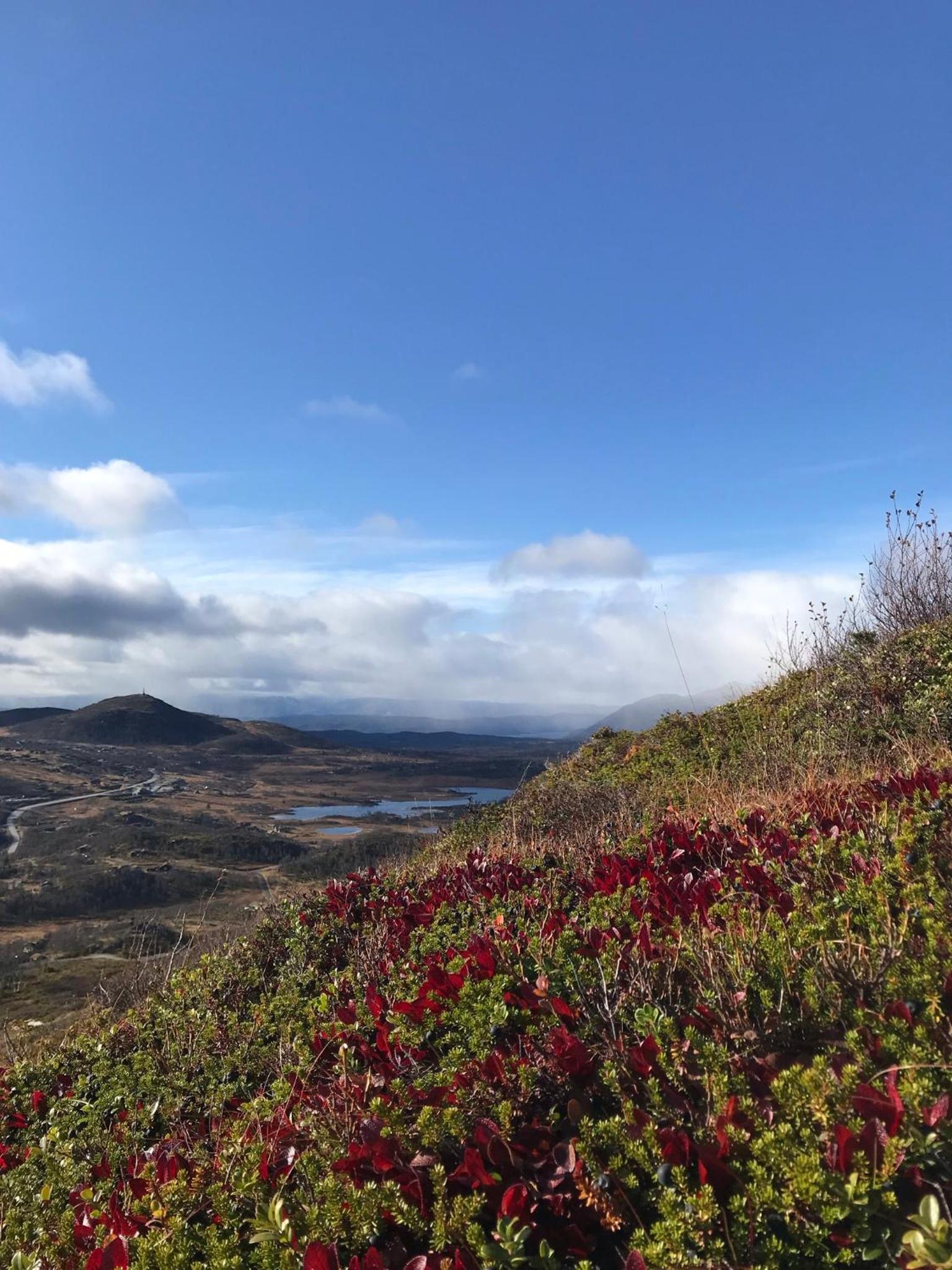 Hjemmekoselig hytte på Rauland