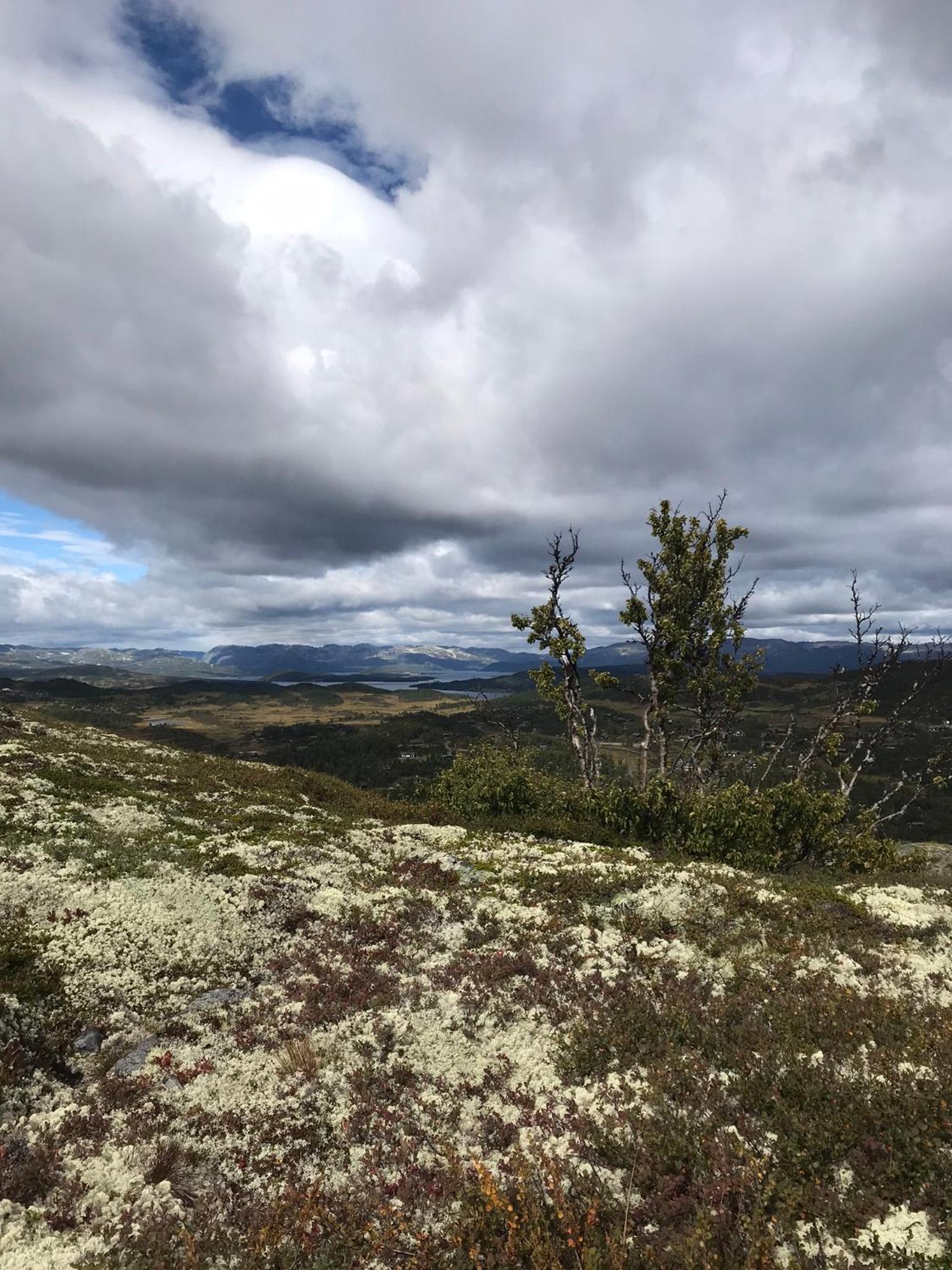 Hjemmekoselig hytte på Rauland