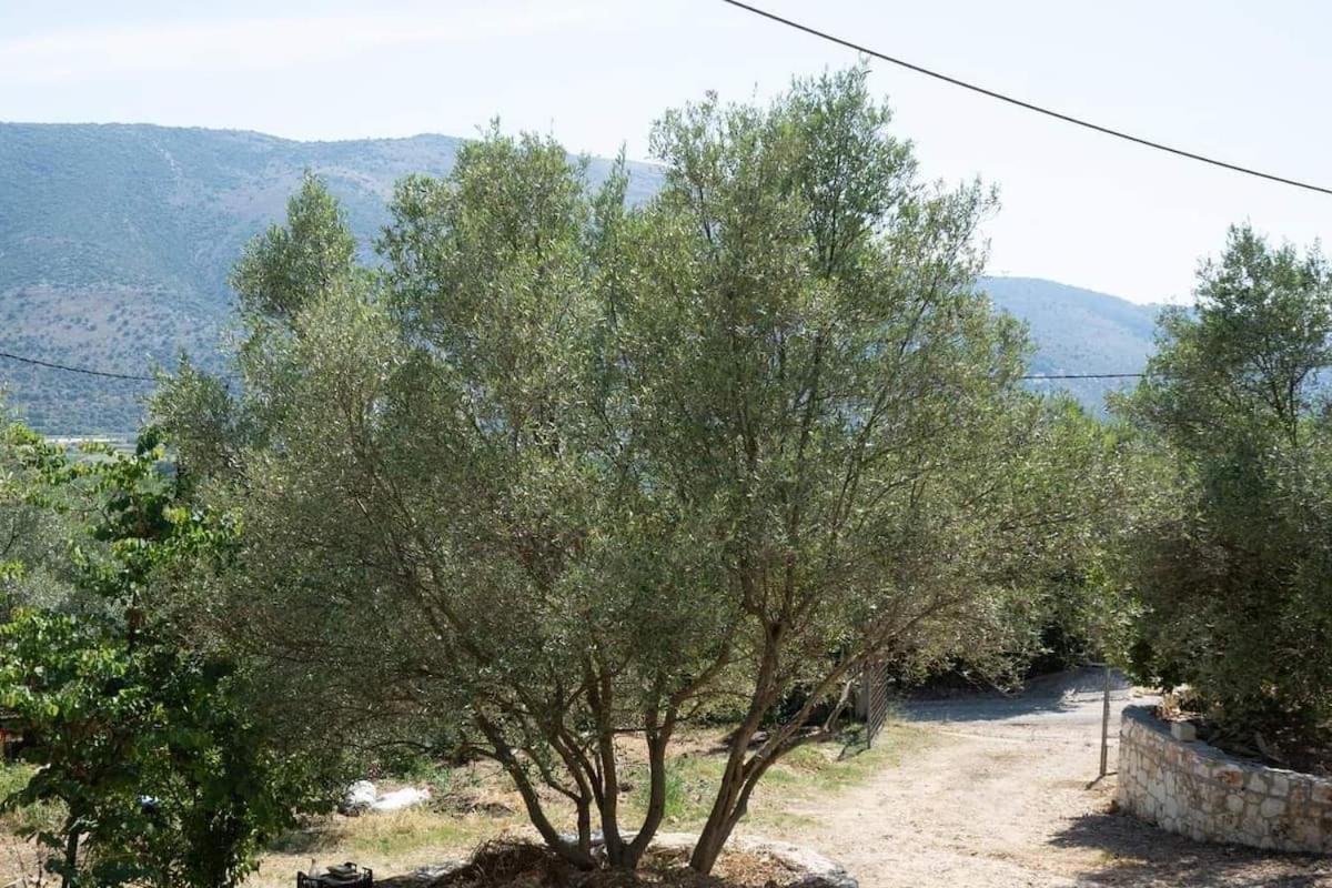 Catherine's House view 4