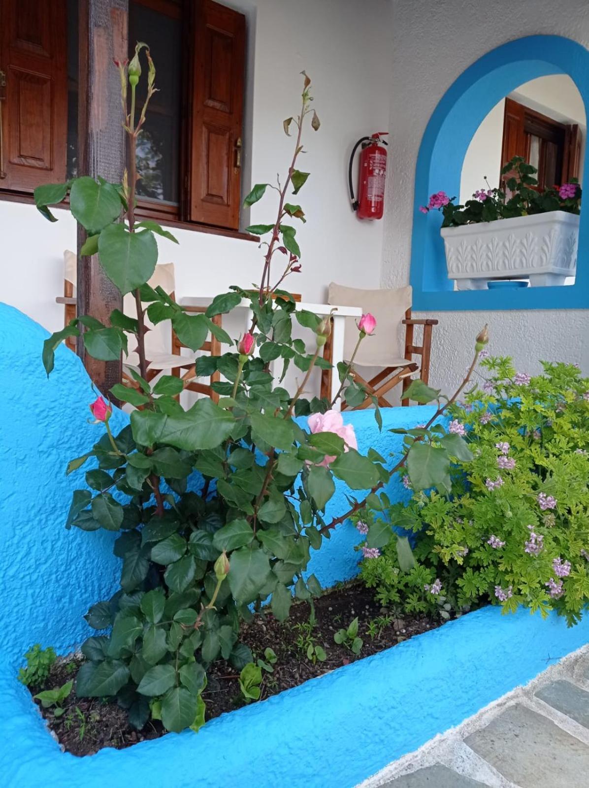 Studios Ioanna Limnionas Samos