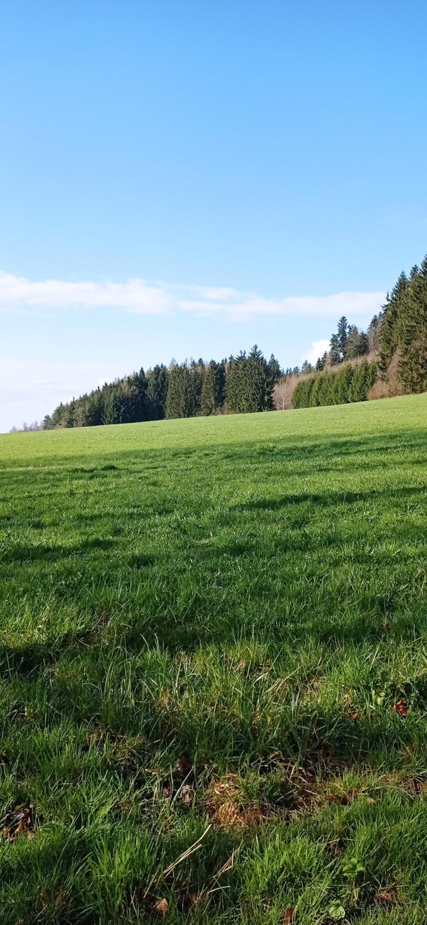 Apartmány na Žlábku