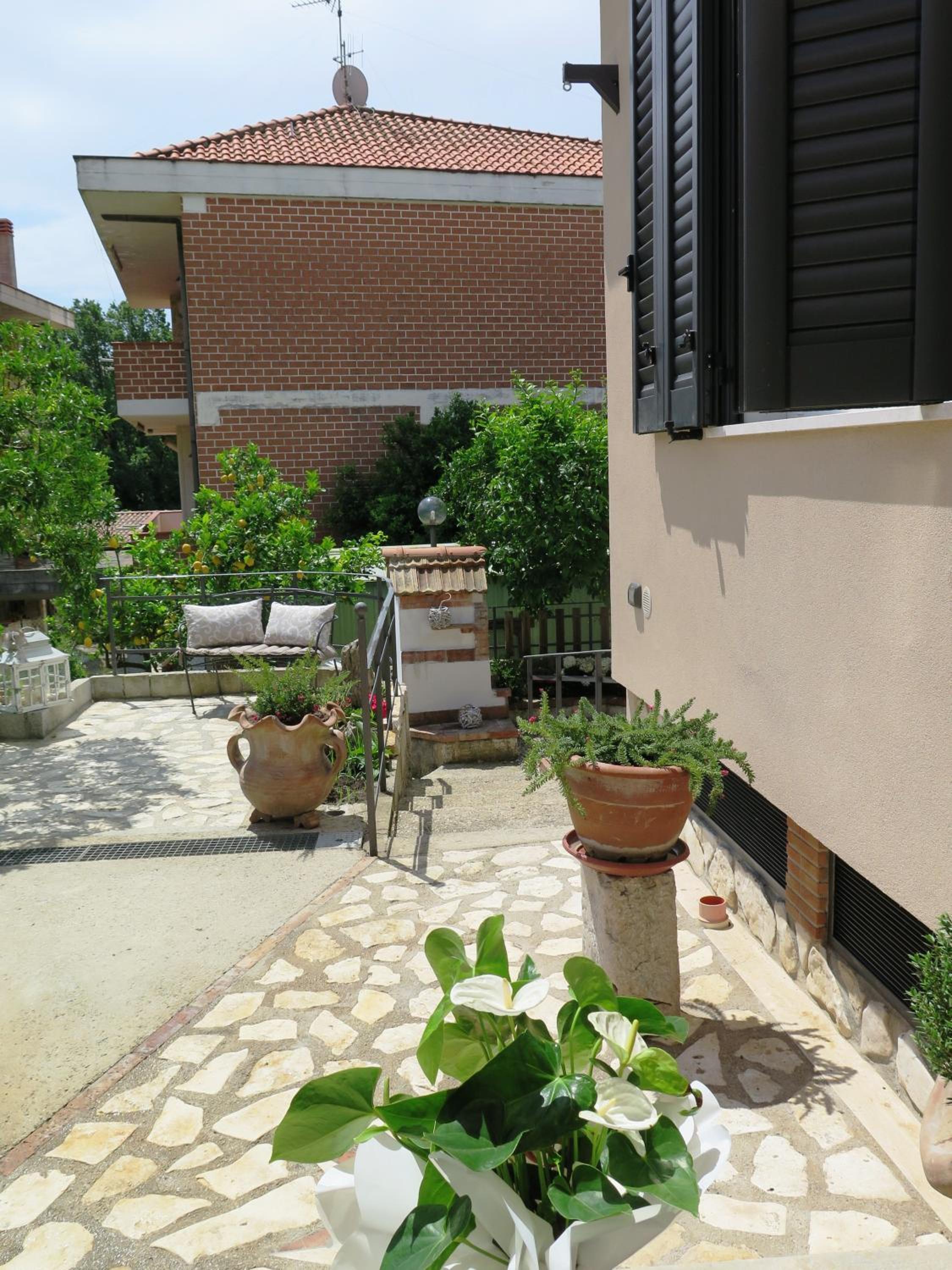 Photo 12