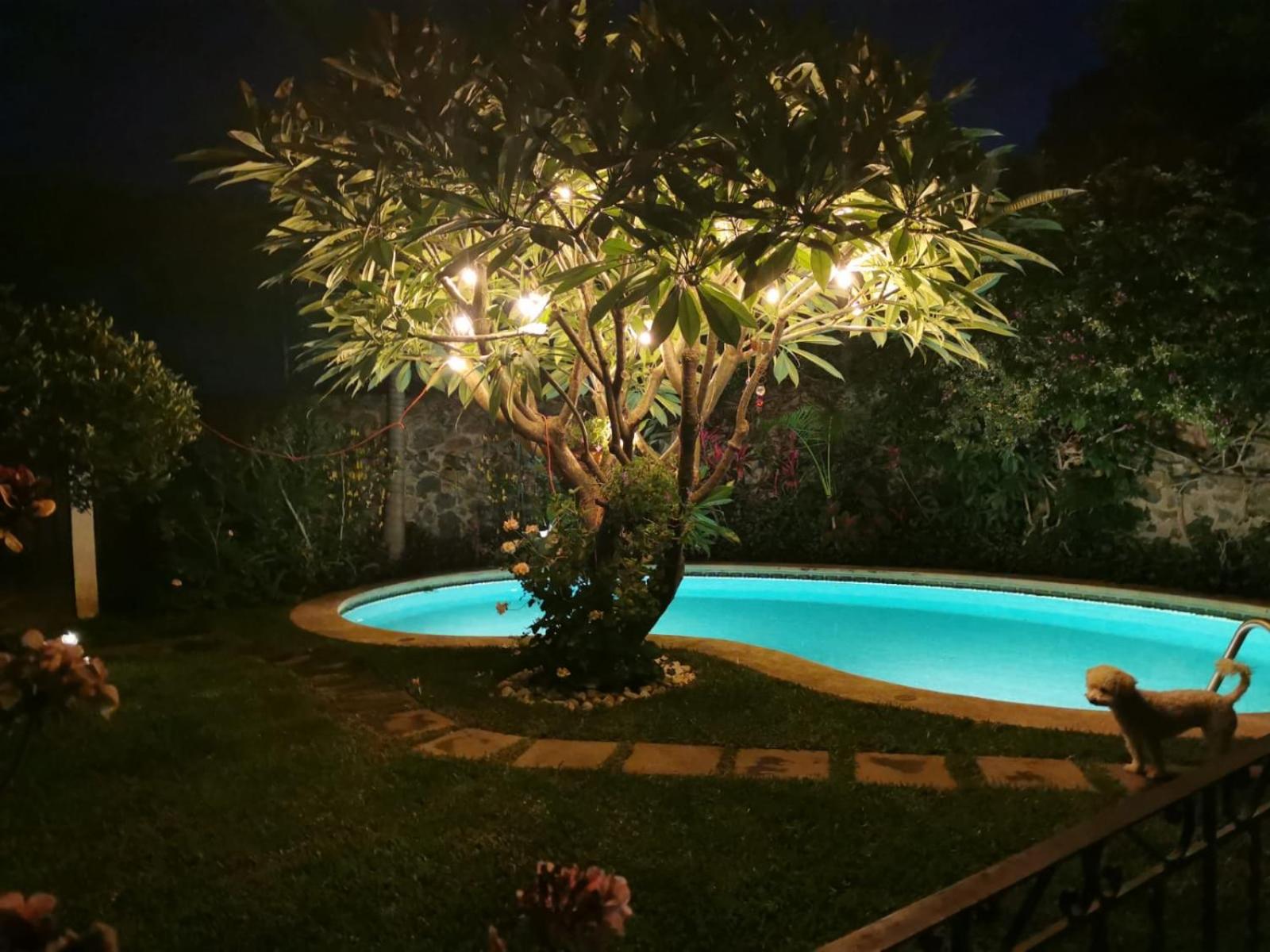 SOL Y SALSA bnb view 4