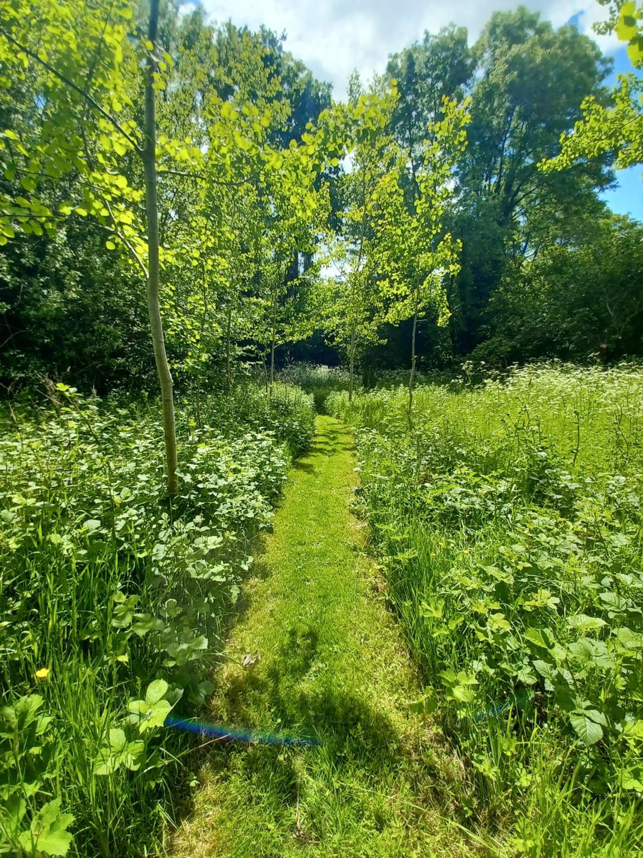 Desart School Garden Chalet