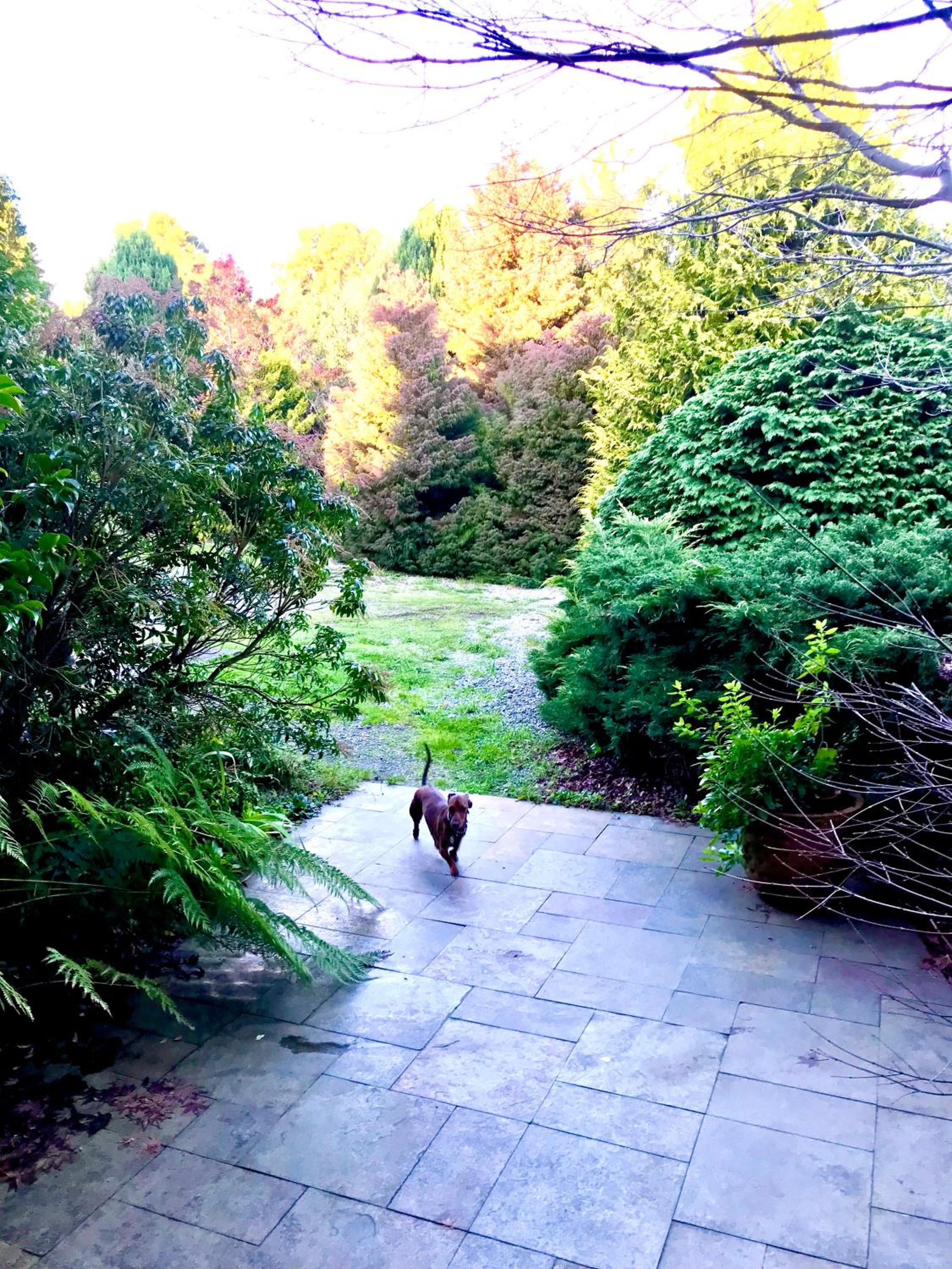 Casa Familiar con Vista al campo y al lago