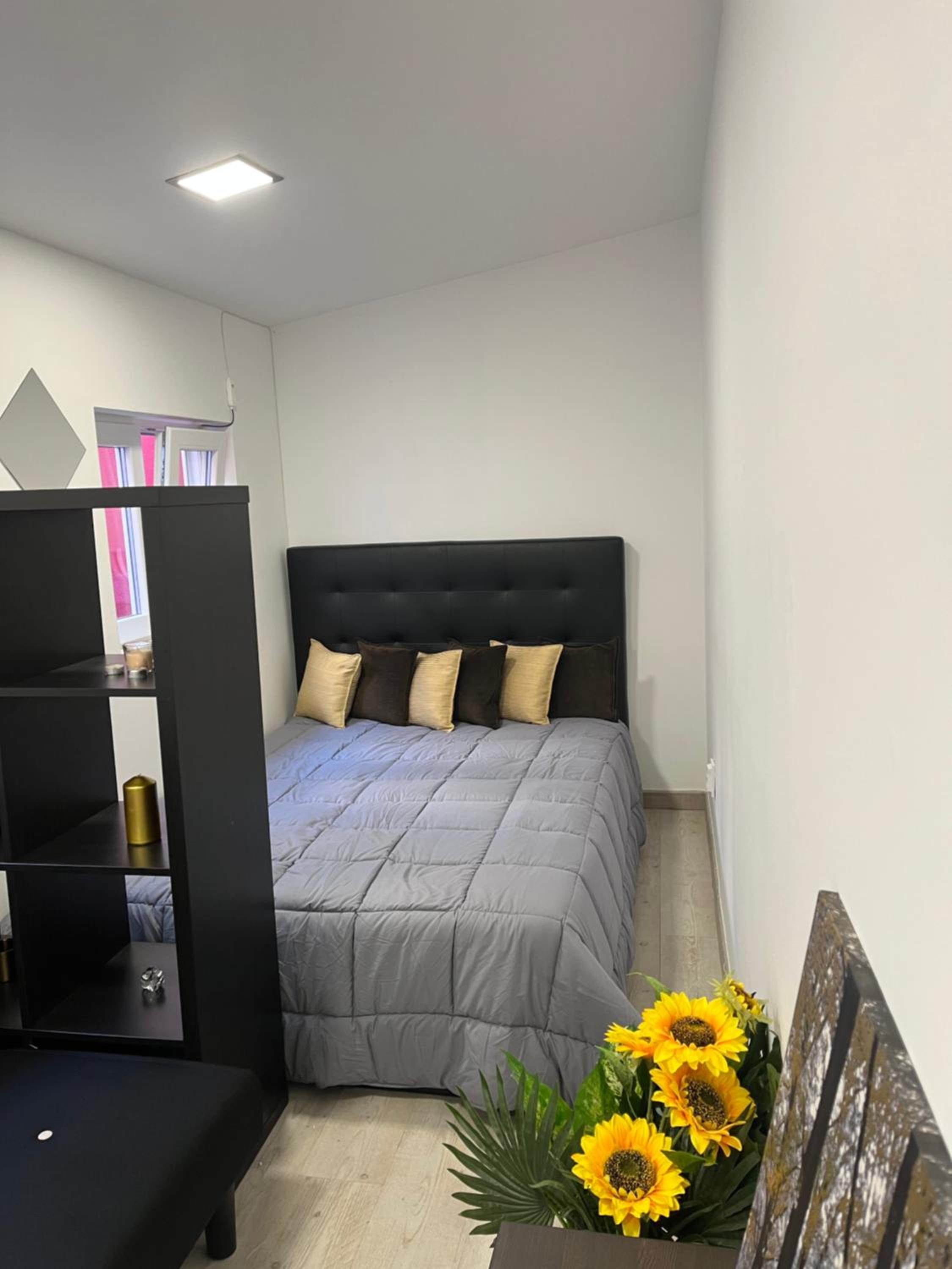 Perfect Studio Mouraria view 5