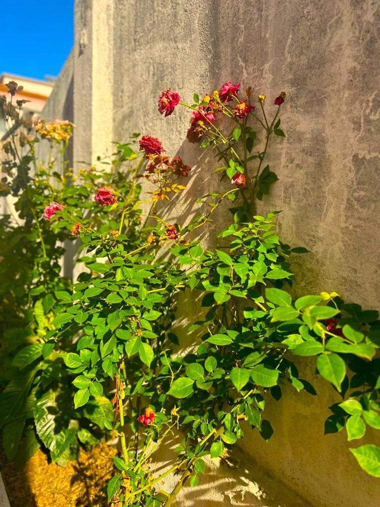 Lisabonna Guest House