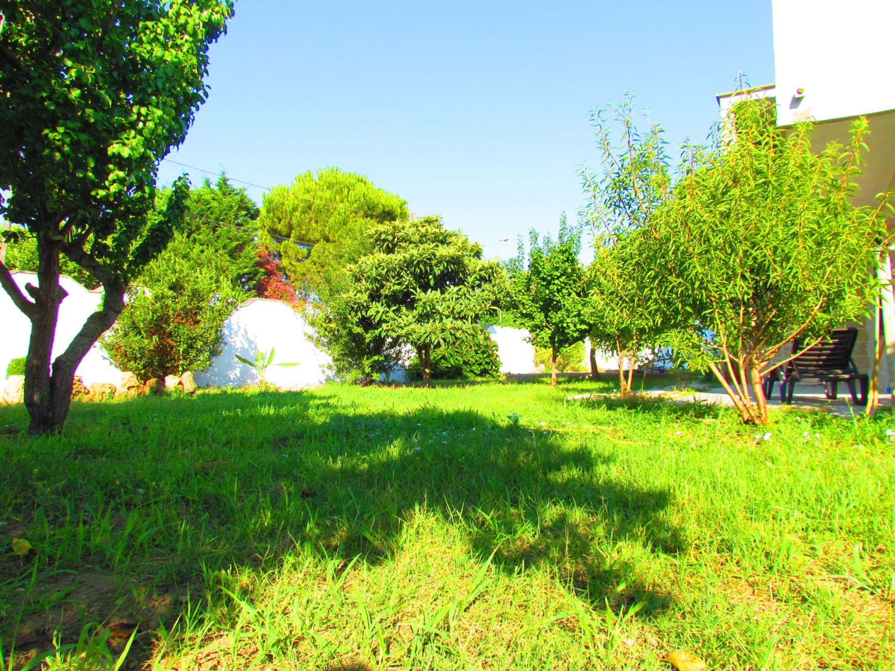 Photo 45