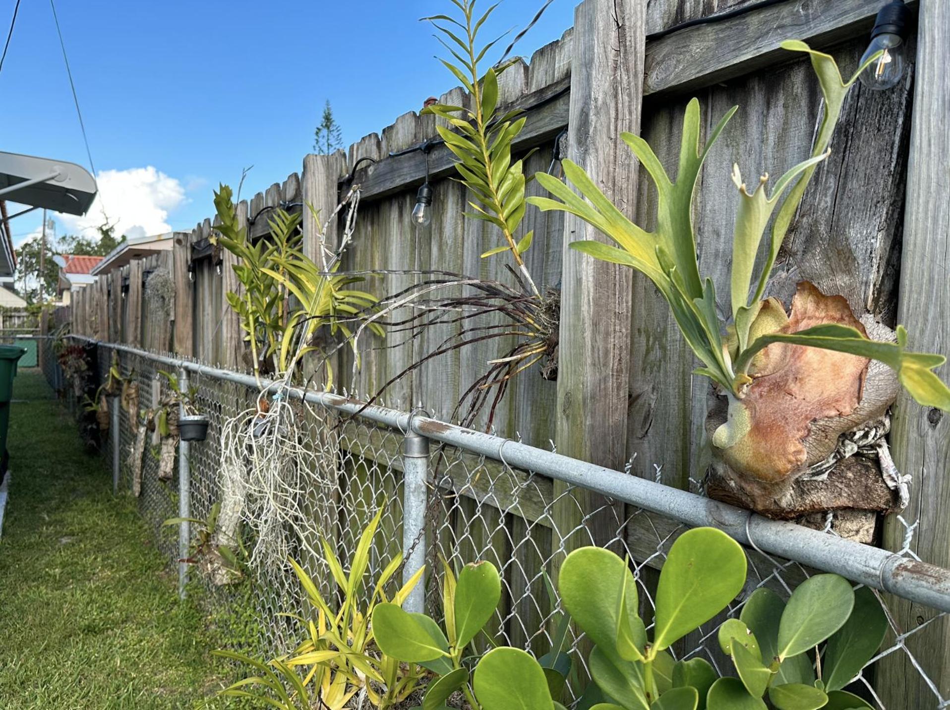 Miami's Cozy Tropical Getaway