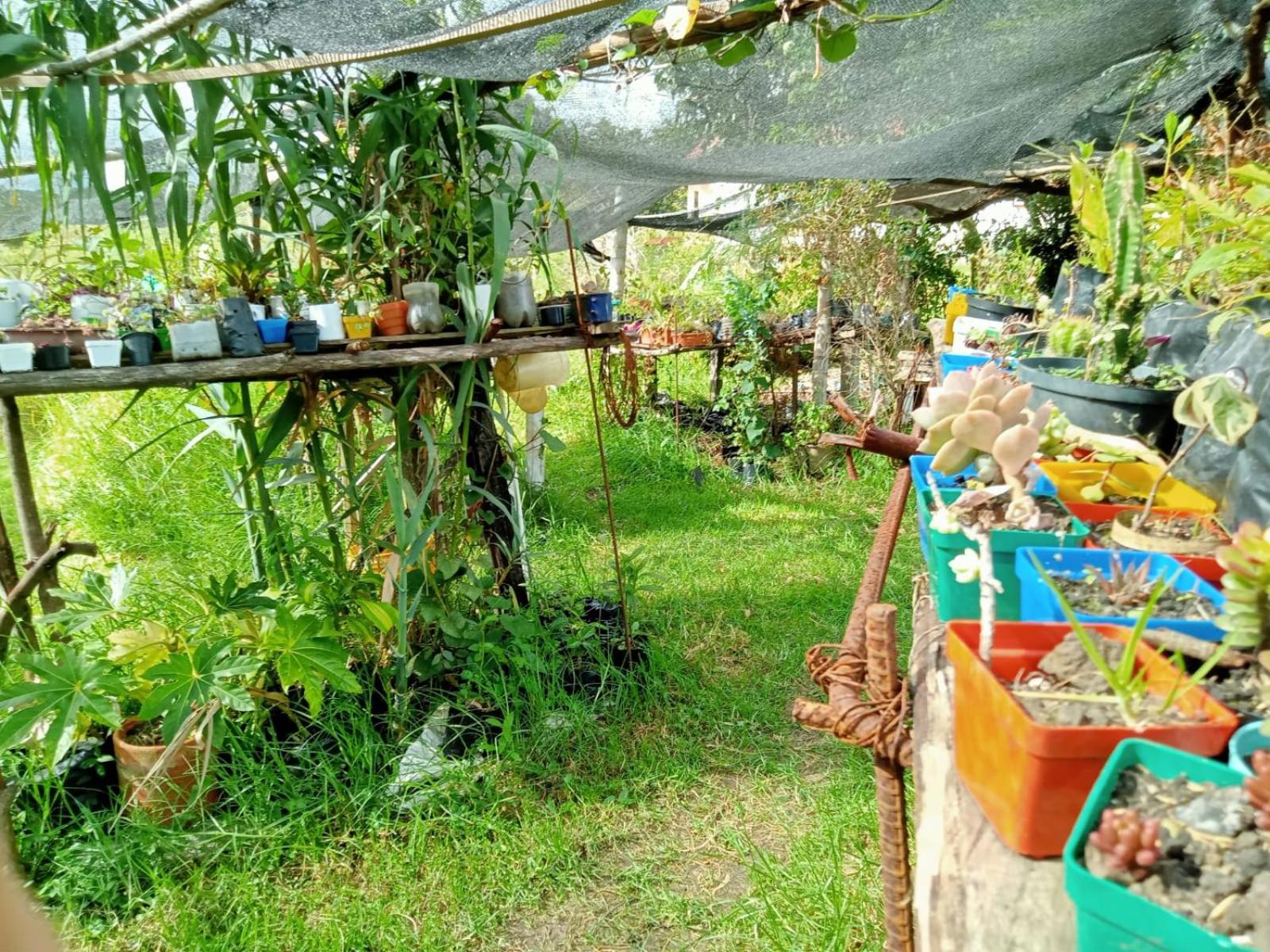 Hospedaje y Zona de Camping Pistacho