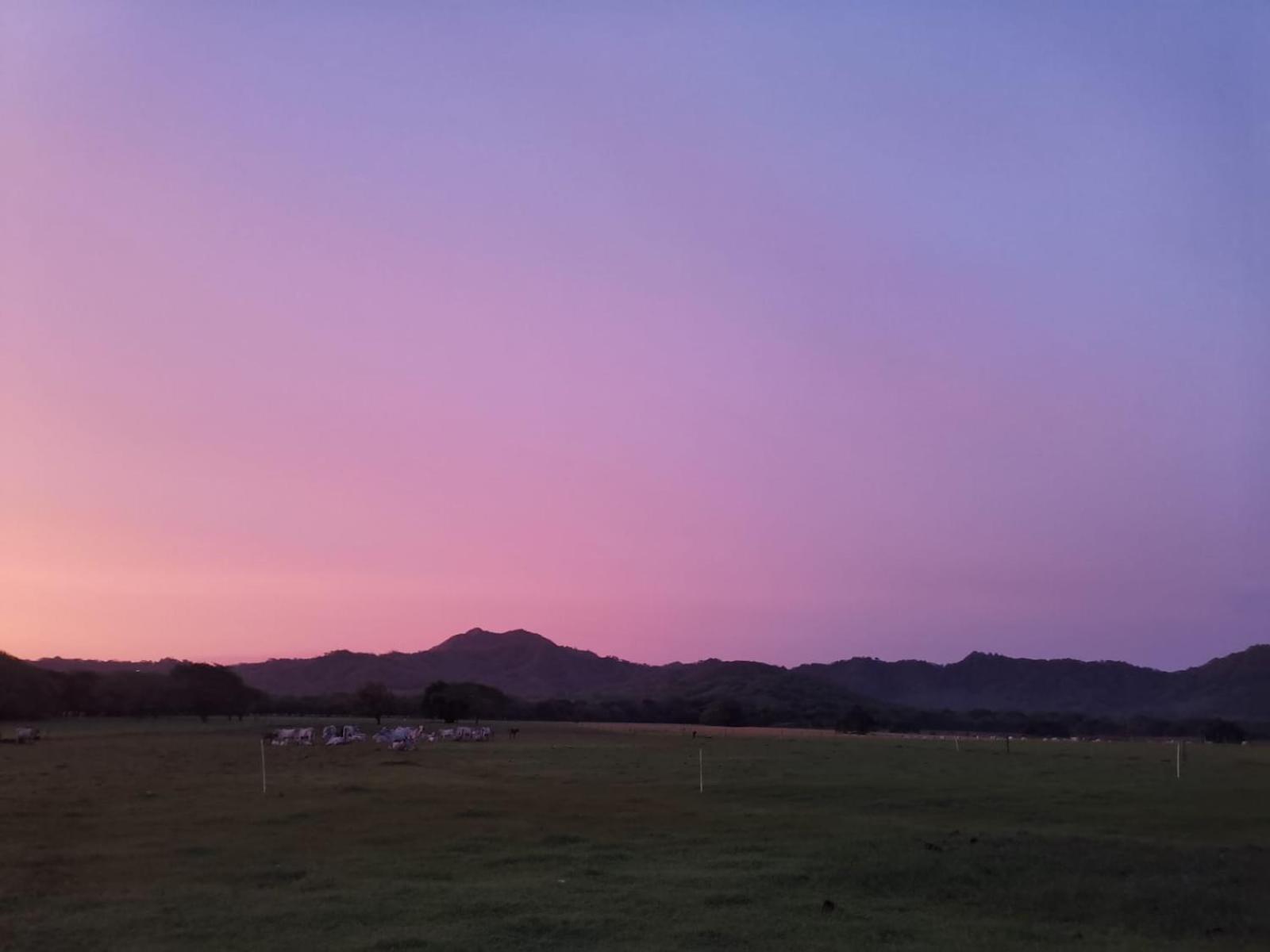 Monte Hermoso