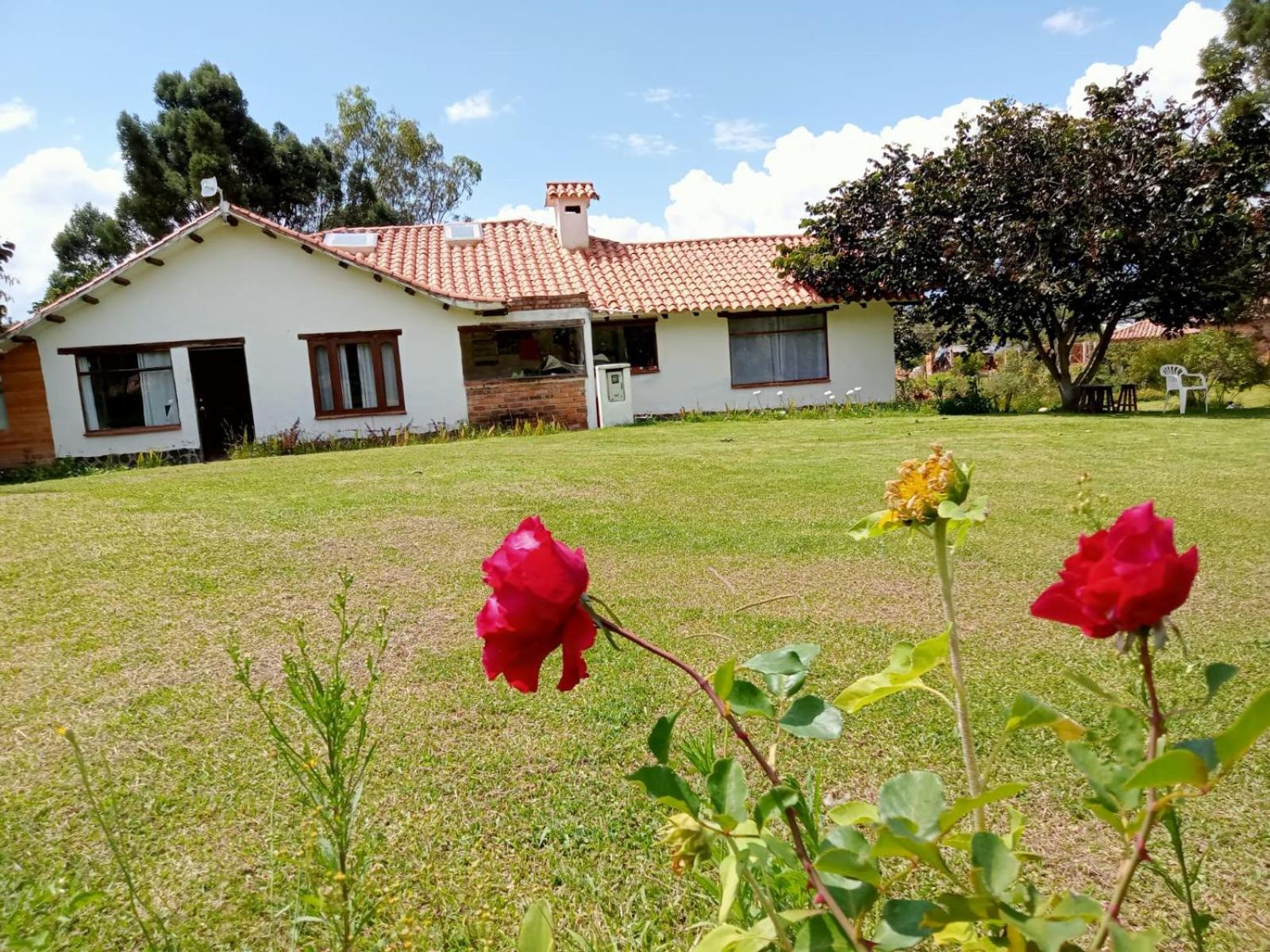 Hospedaje y Zona de Camping Pistacho