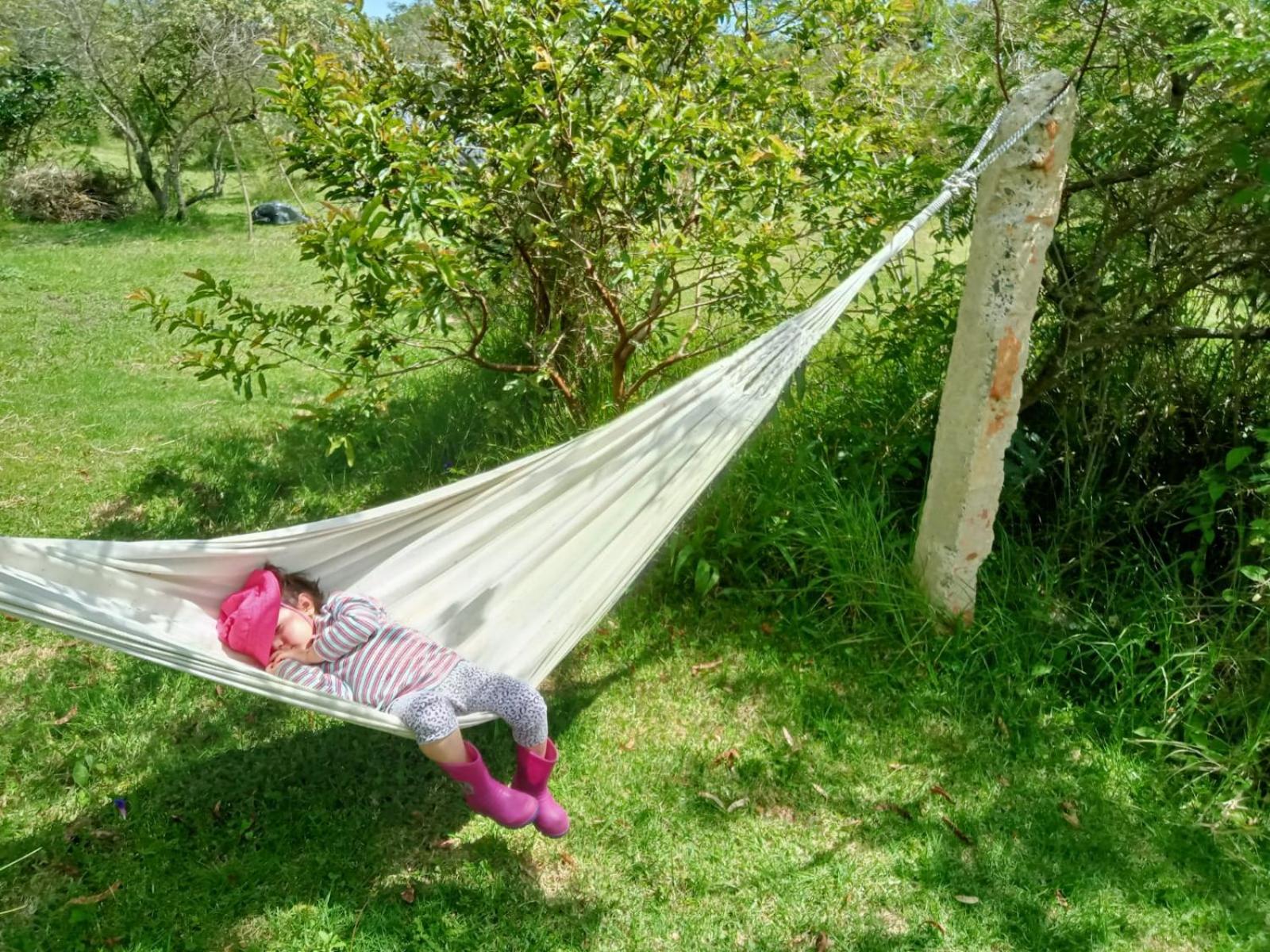 Hospedaje y Zona de Camping Pistacho