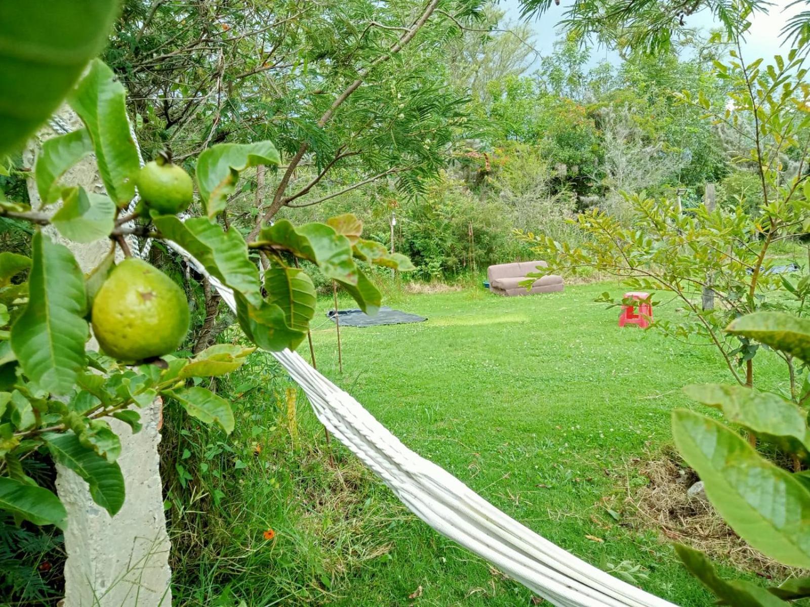 Hospedaje y Zona de Camping Pistacho