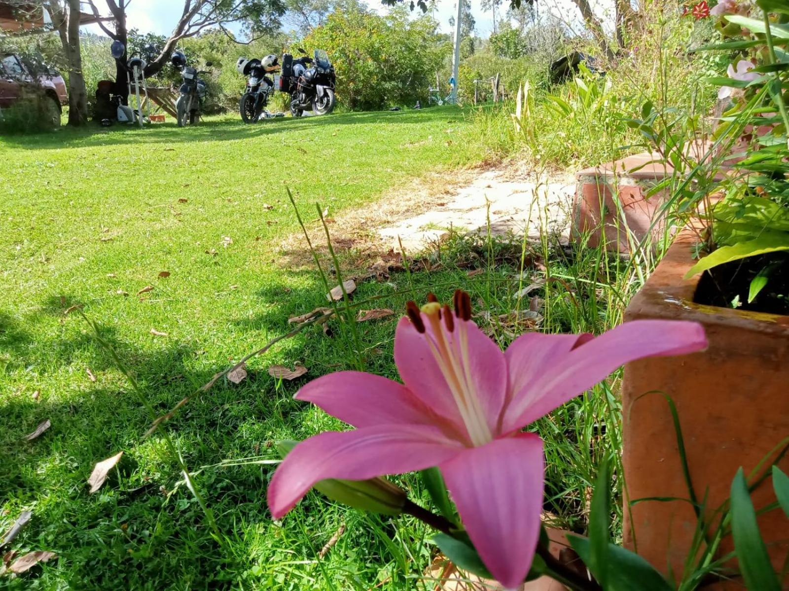 Hospedaje y Zona de Camping Pistacho