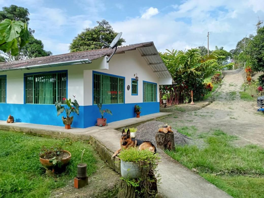 ¡¡Espectacular finca de descanso en pacho!!.