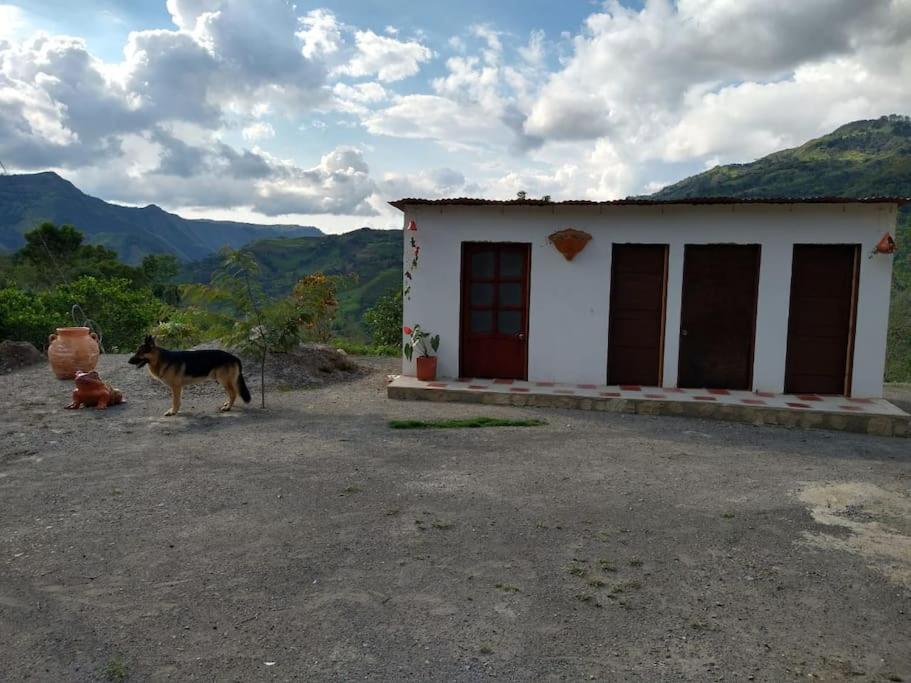 ¡¡Espectacular finca de descanso en pacho!!.