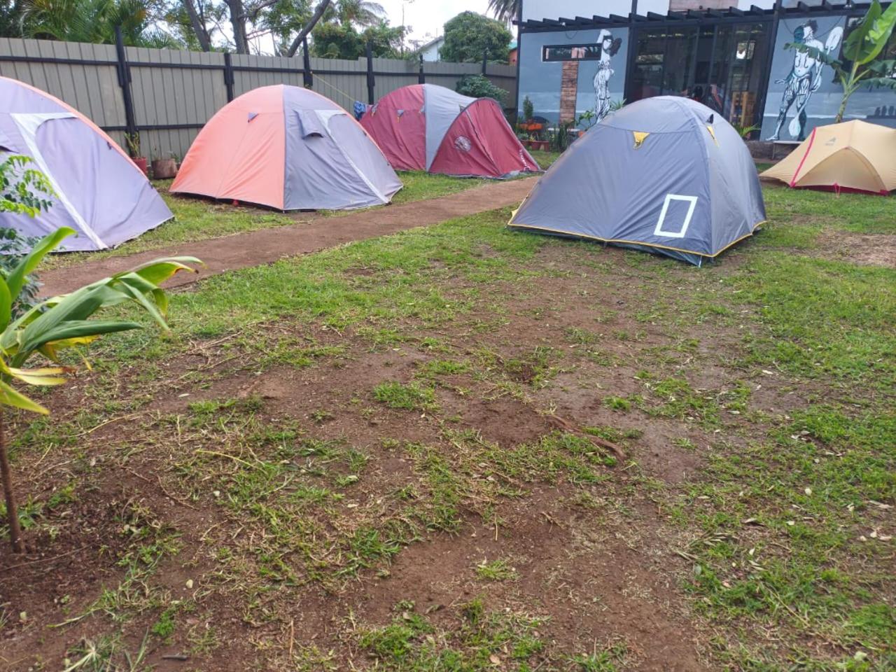 Moehiva Camping Rapa Nui