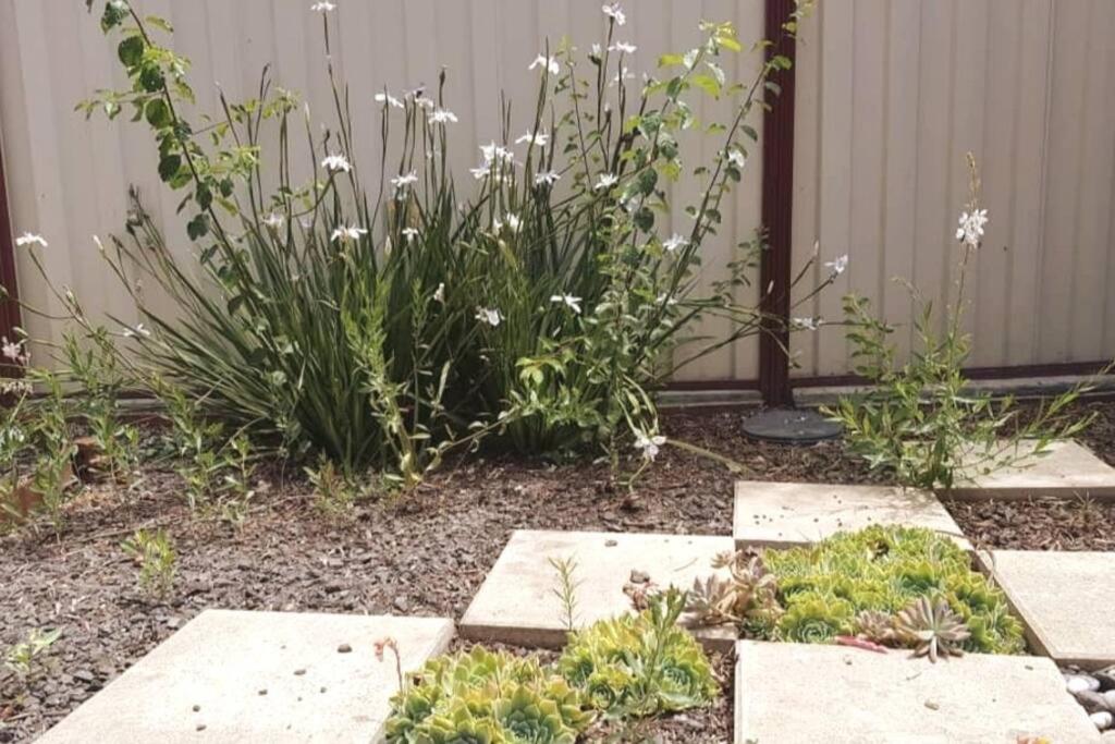 Roxy - A Spacious Cosy Getaway - Near Mel Airport