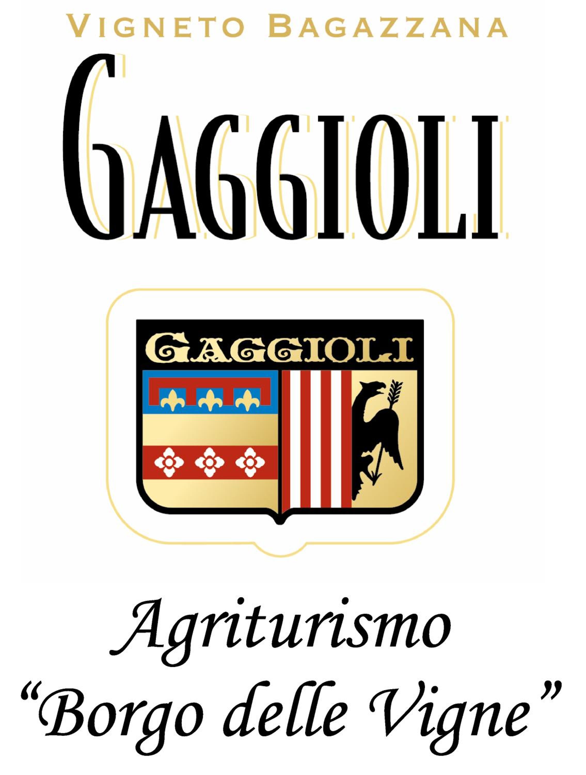 Agriturismo Gaggioli Borgo Delle Vigne view 5