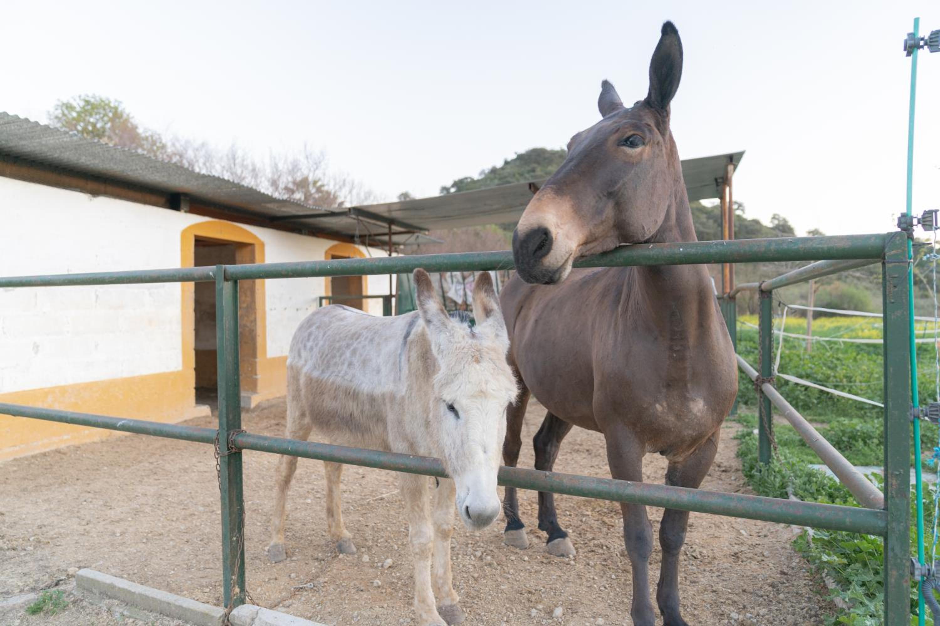 Alojamiento Rural junto a Vía Verde Olvera