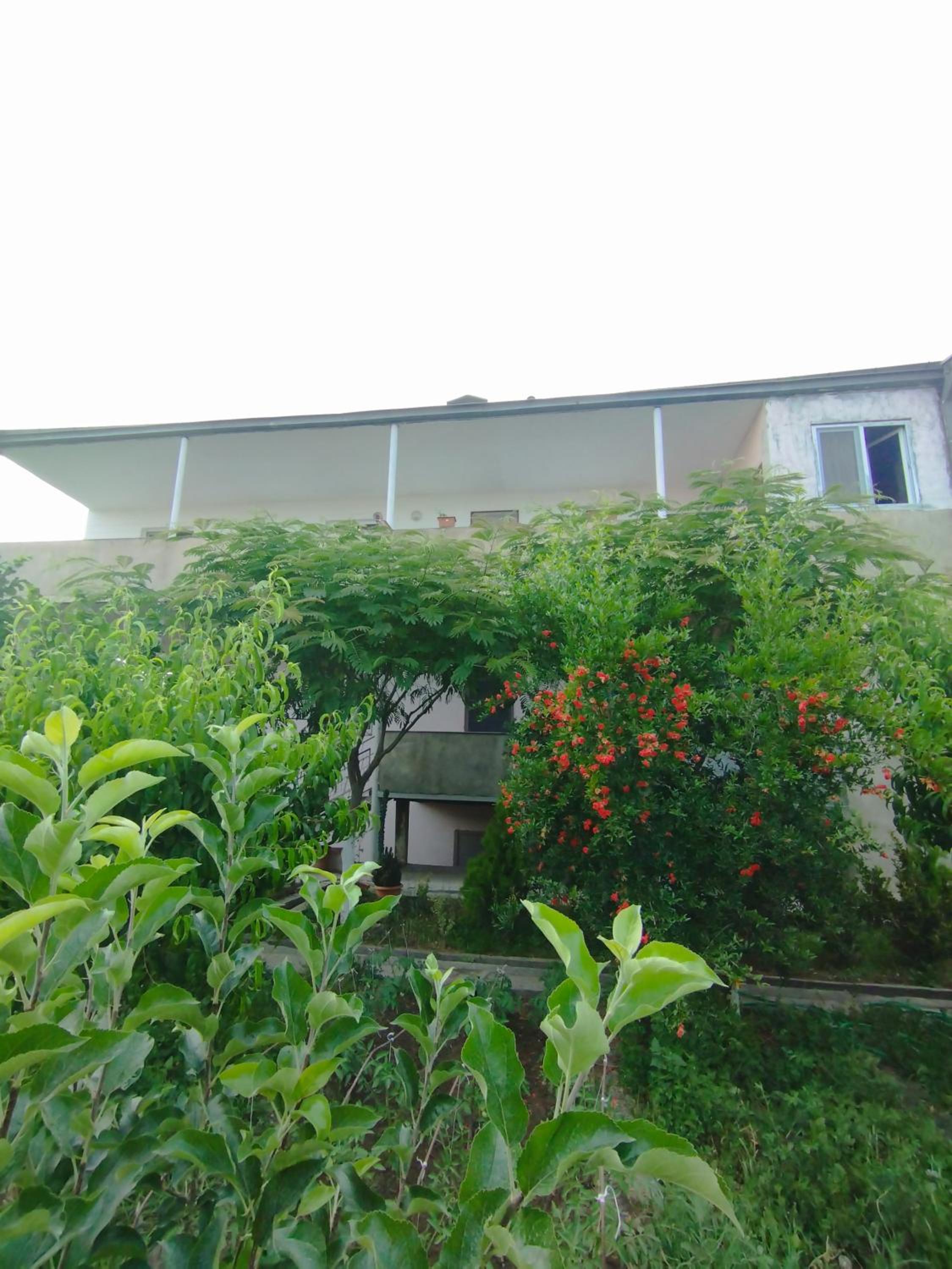 Guesthouse Ed&Er