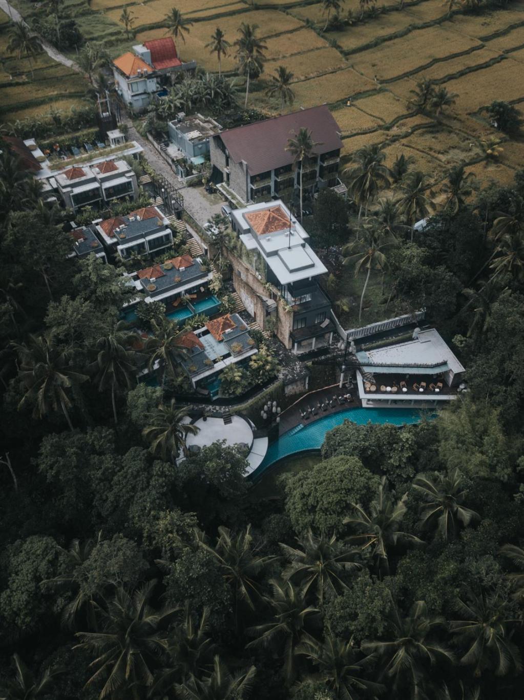 The Ning Resort Ubud view 5