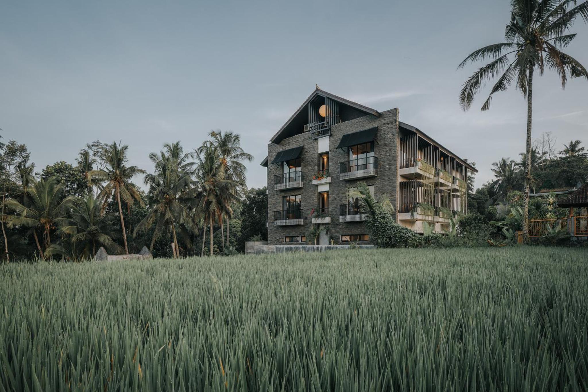 The Ning Resort Ubud view 2
