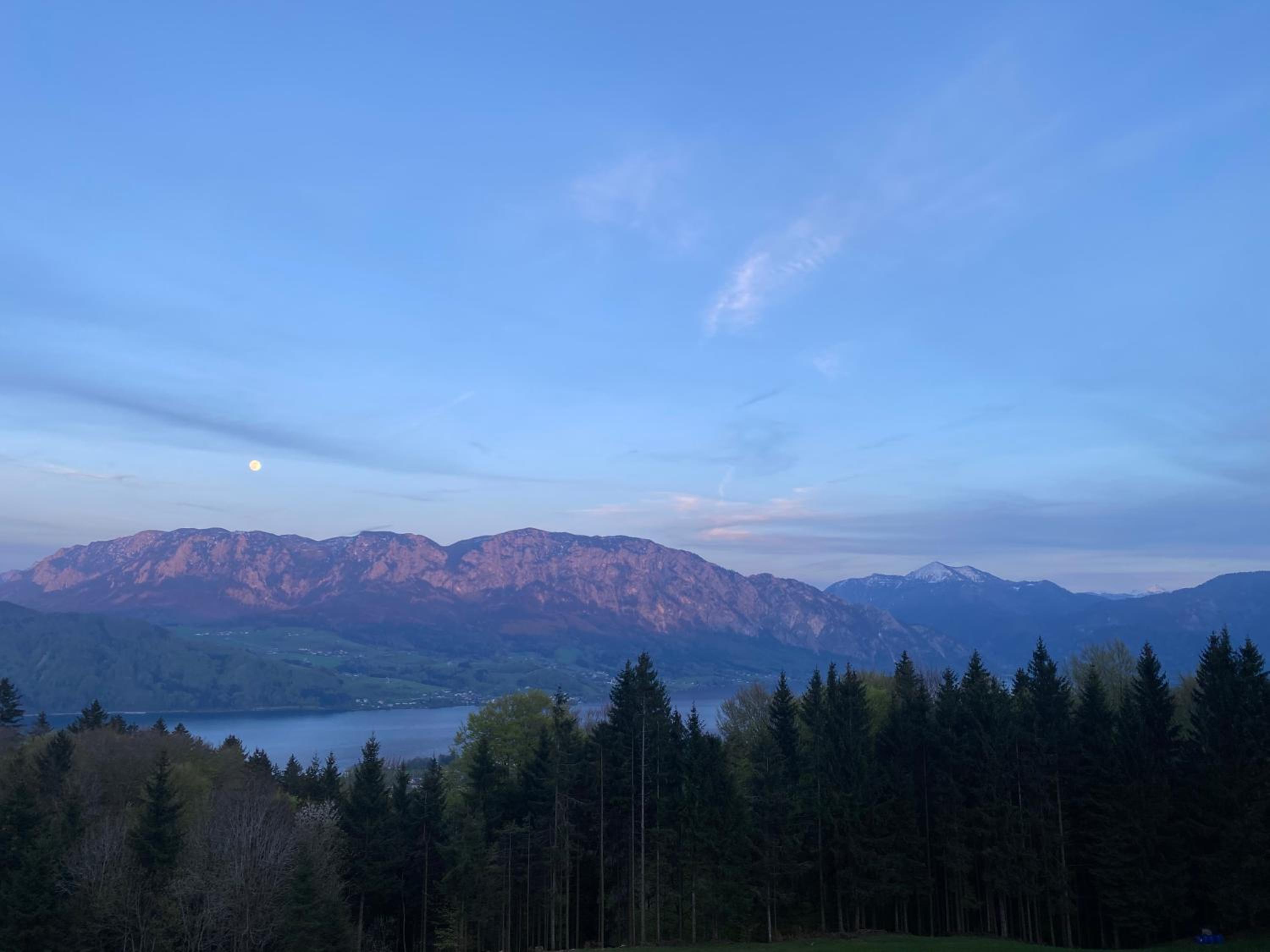 moderne Apartments am Attersee Dachsteinblick - ruhige Lage mit traumhaften Blick