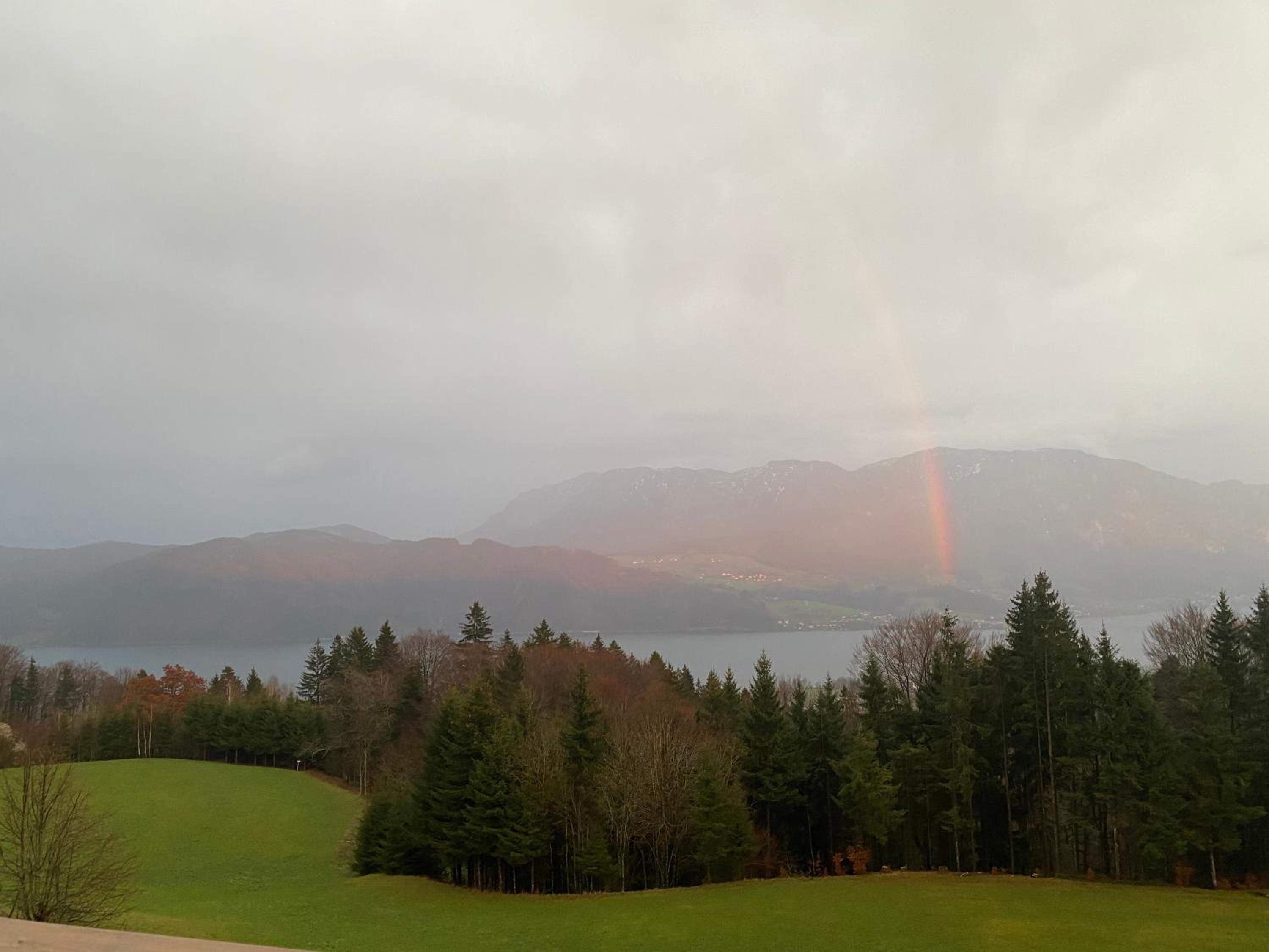 moderne Apartments am Attersee Dachsteinblick - ruhige Lage mit traumhaften Blick