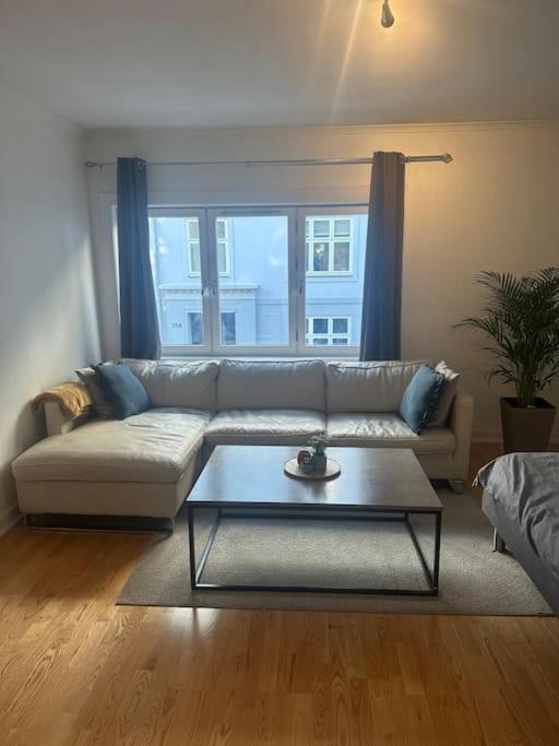 35m2 apartment in central oslo view 2