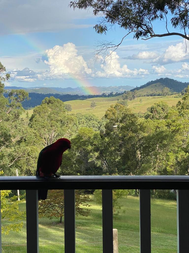 Bluegums Cabins Barrington Tops