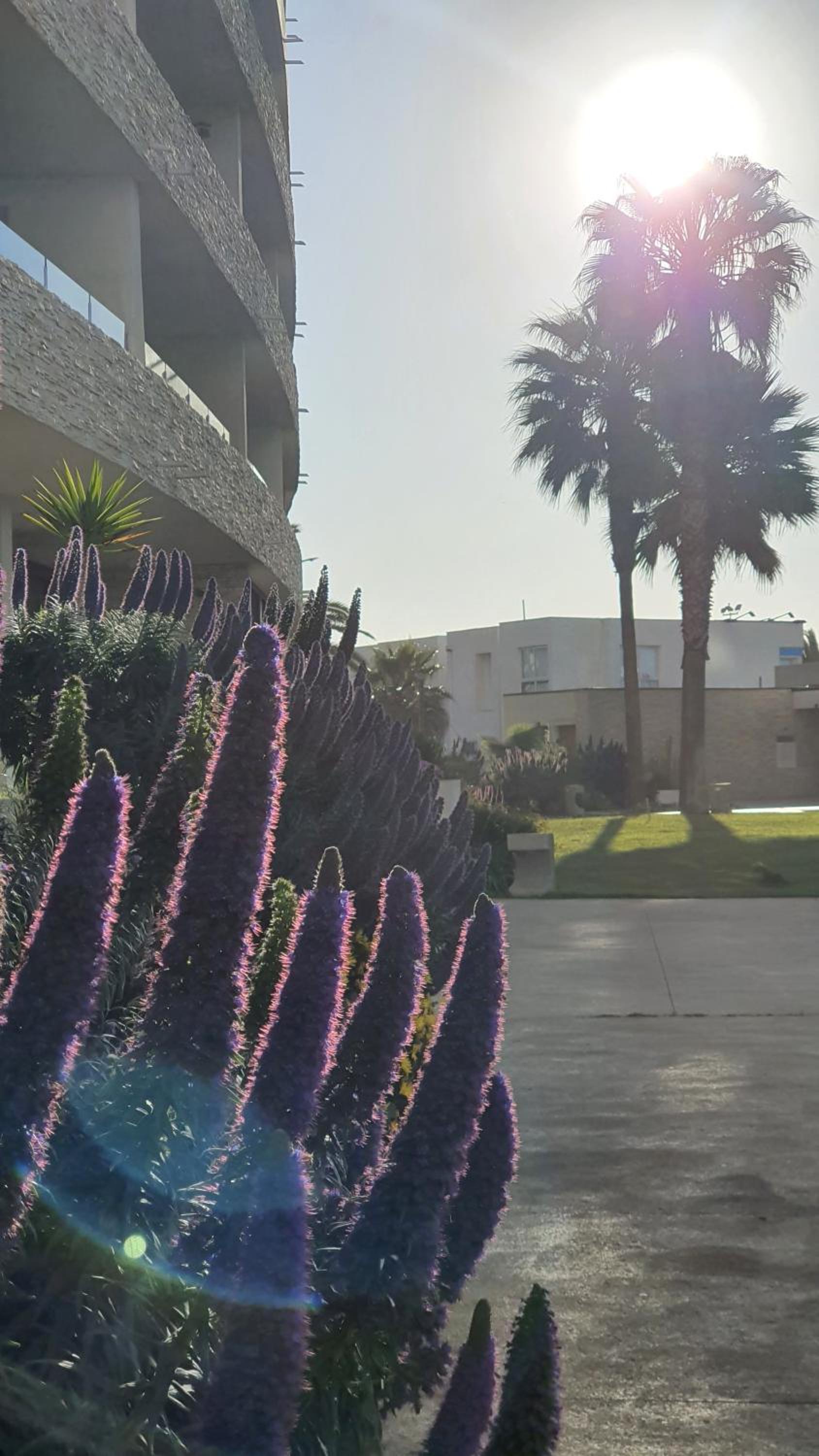 Jardin del Mar SPA & Enjoy
